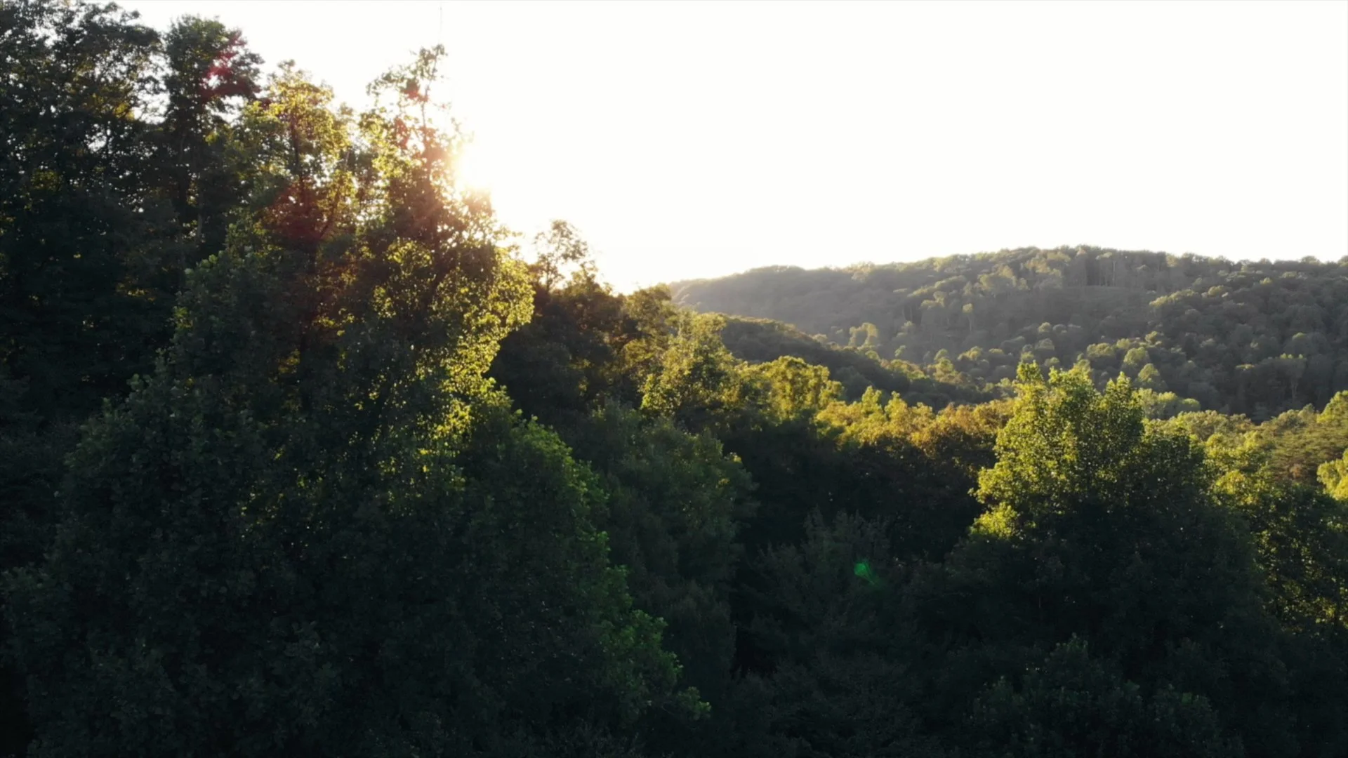 Mobile Fallback Image.jpg