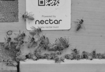 Screen Shot 2024-08-14 at 11.19.16 AM.png