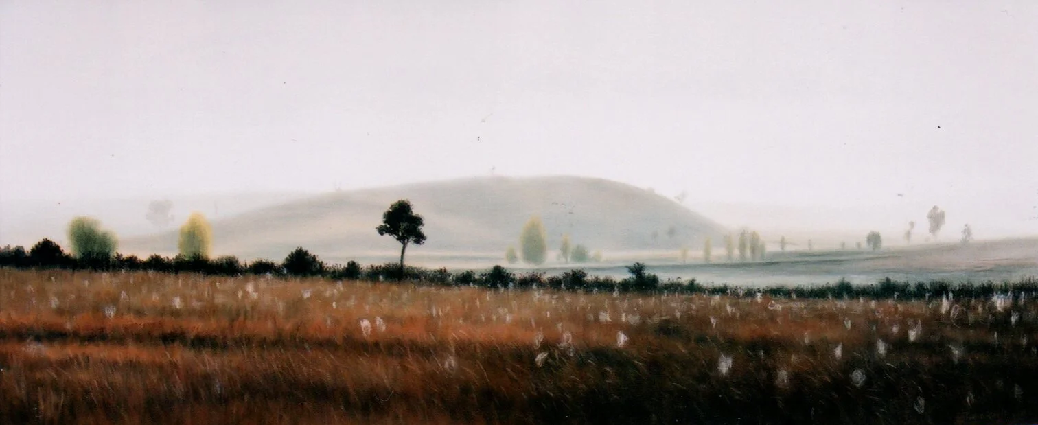 2004_Spiderwebs_in_the_morning_46x110cm