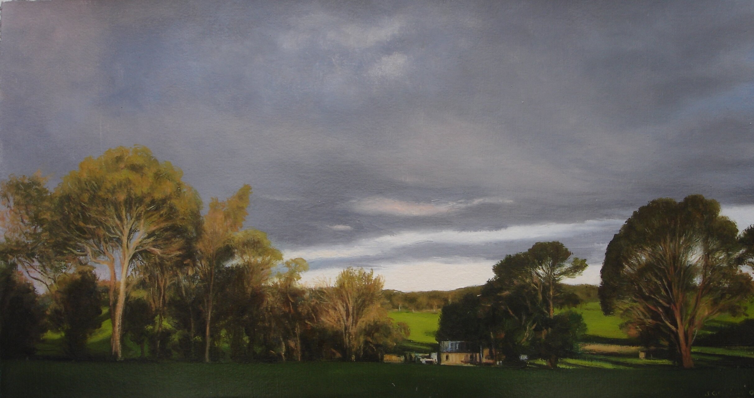 Blackfellows Gully III 2006 50x27cm