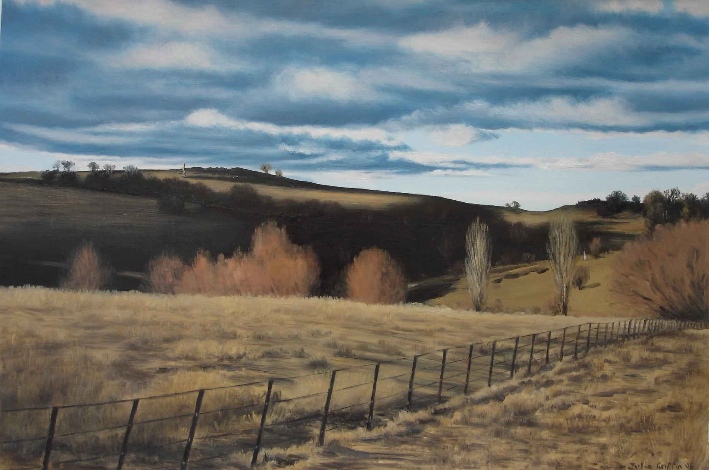 Moving shadows 2006 56x38cm