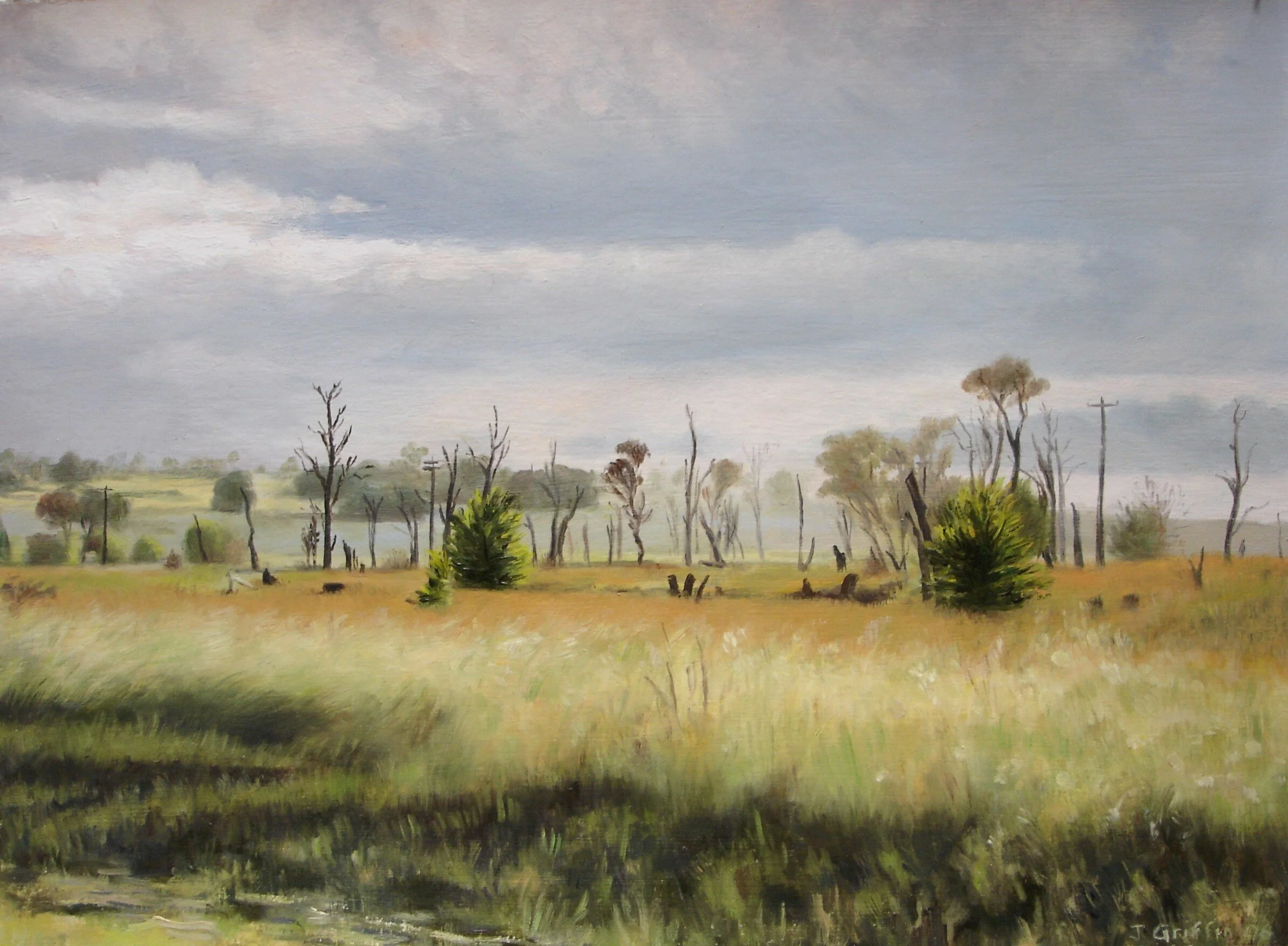 Dieback near Dangars Lagoon 2006-38x28cm 