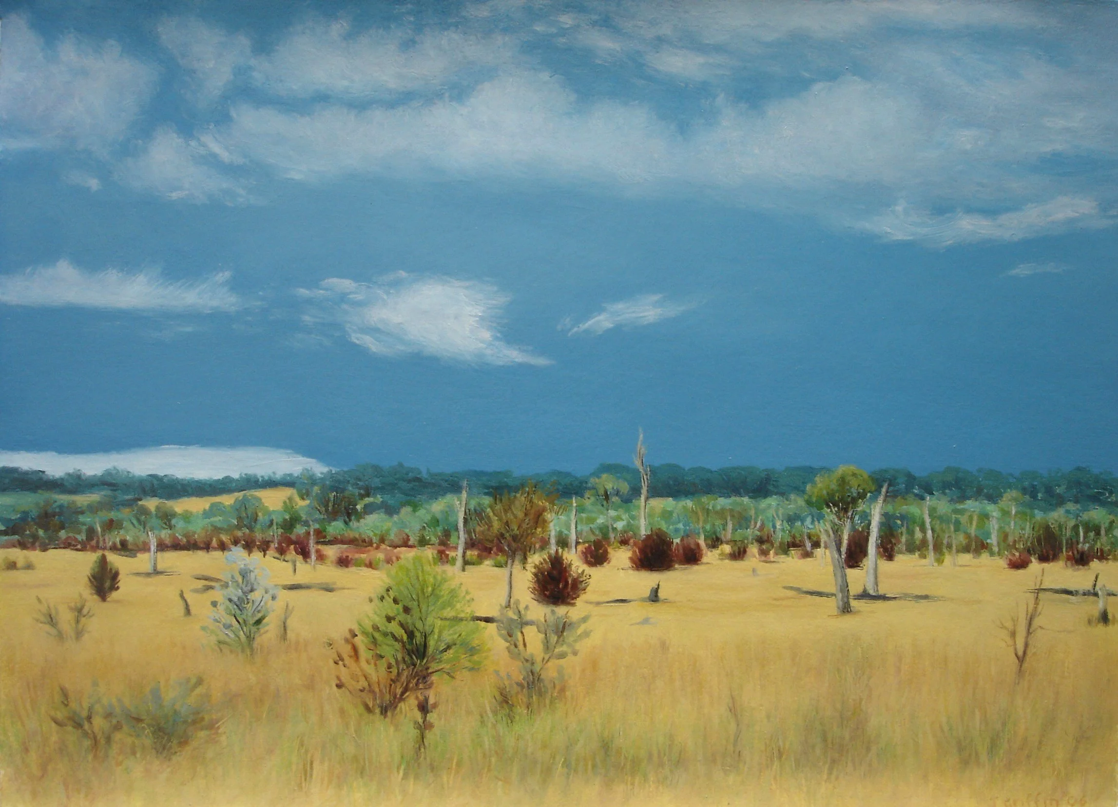 Near Dangars Lagoon II 2006-38x28cm