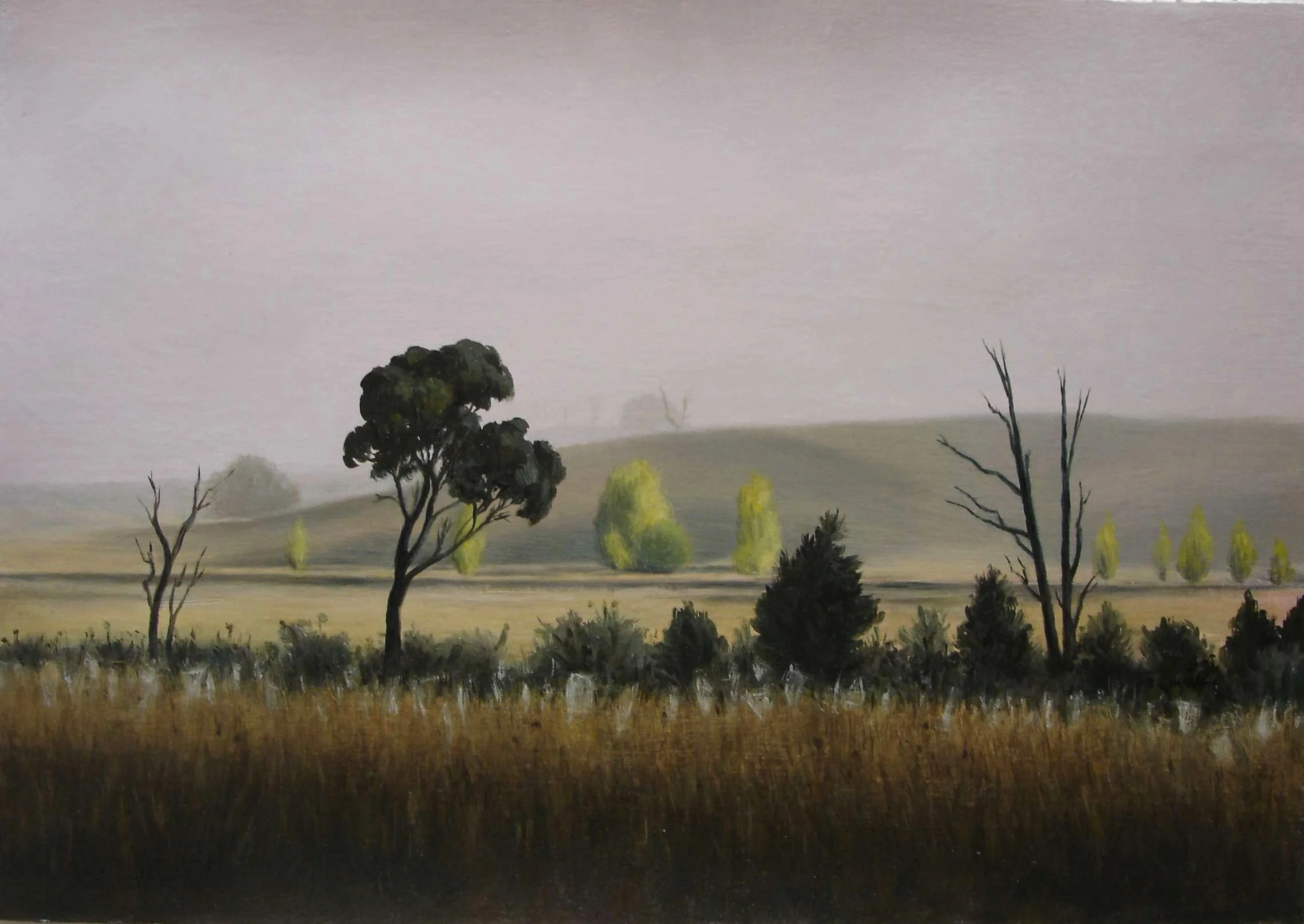 Spiderwebs 2005-38x28cm