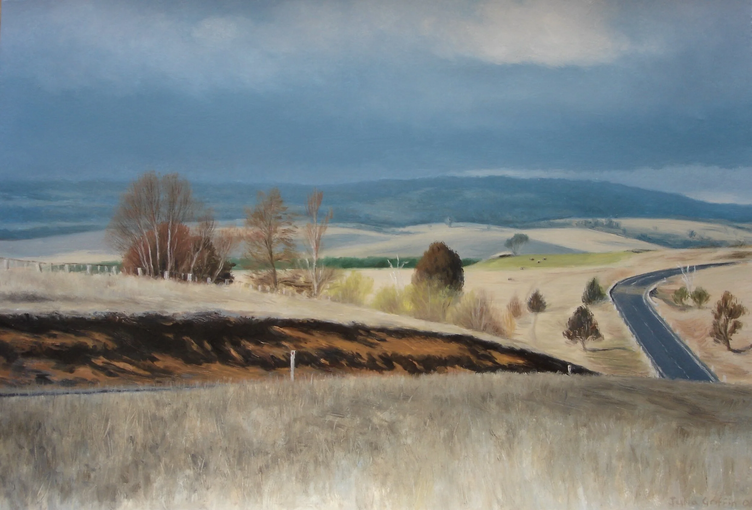 Oxley Highway III 2006-56x38cm