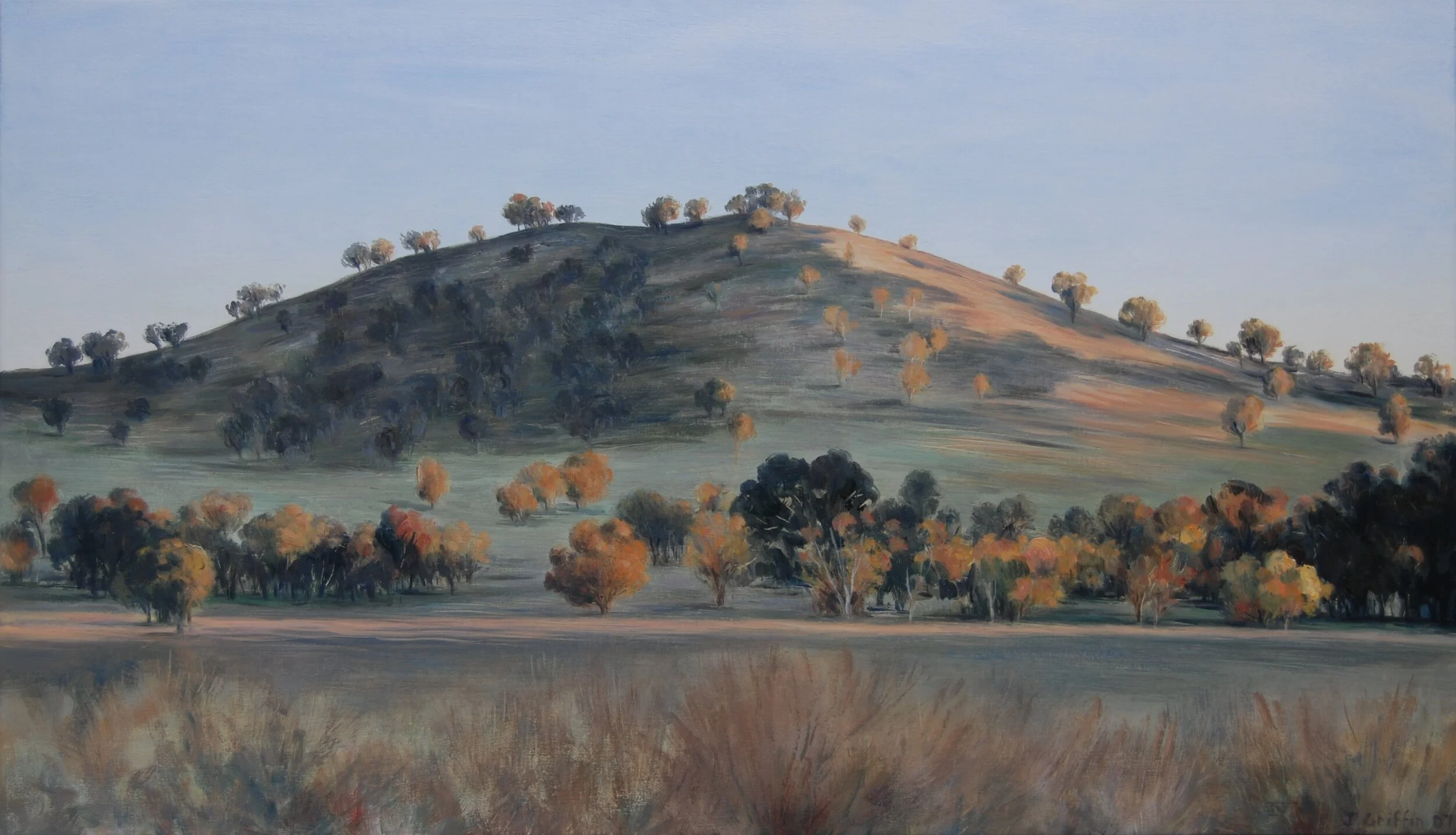 Near Yarrowyck 2007-80x47cm