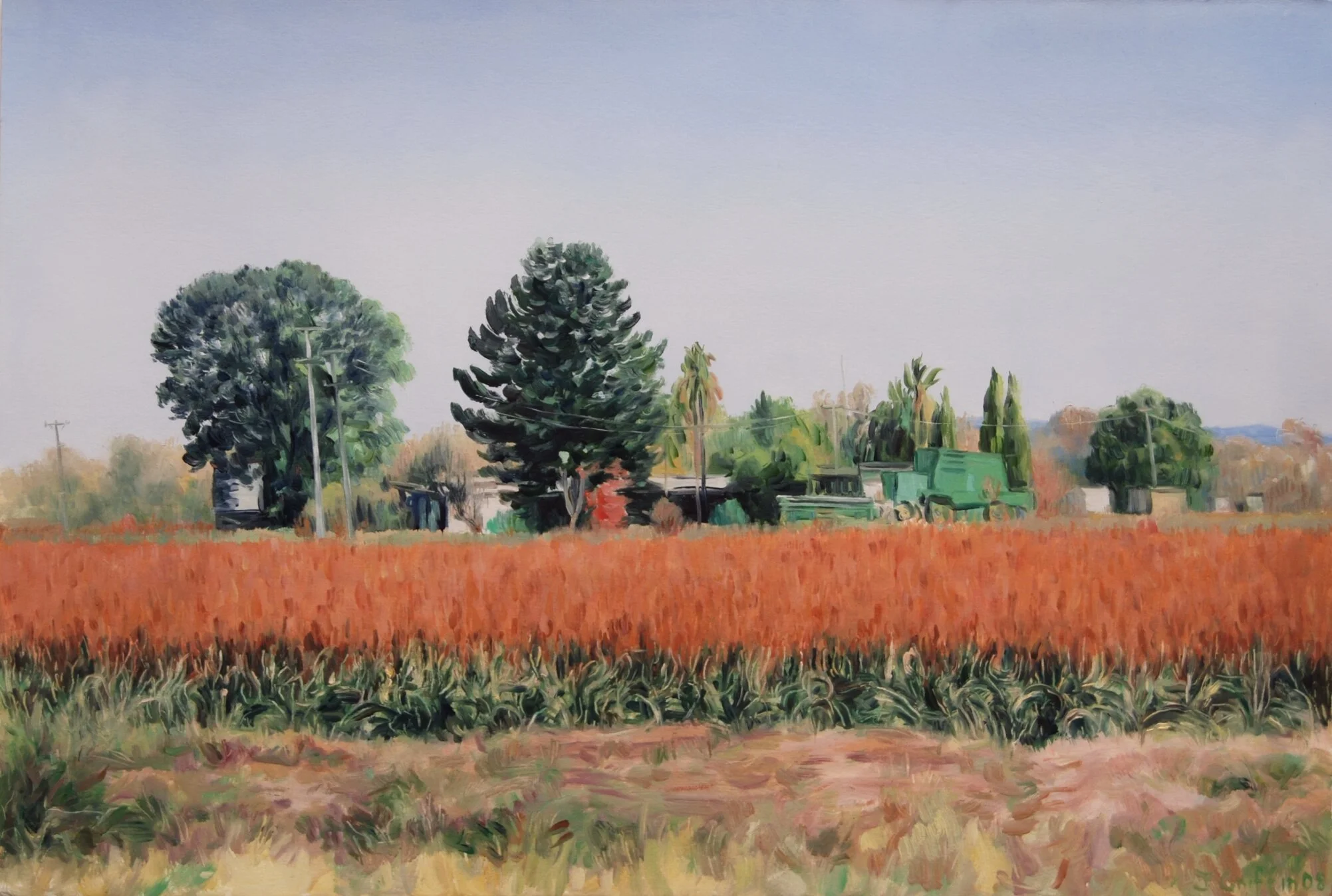 2008_Sorghum_crop_38x56cm