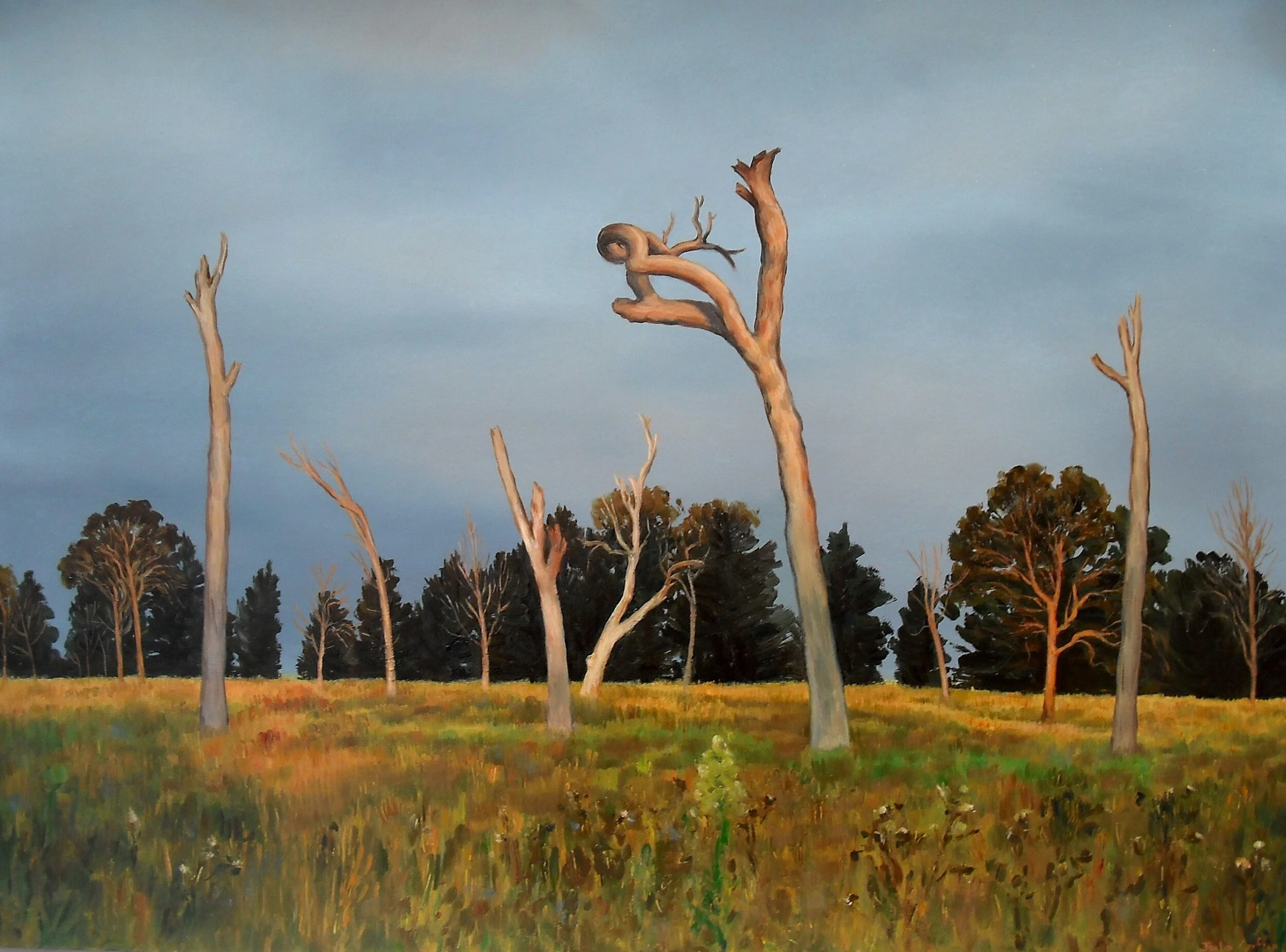 2009_Last_light_III_ 56x76cm