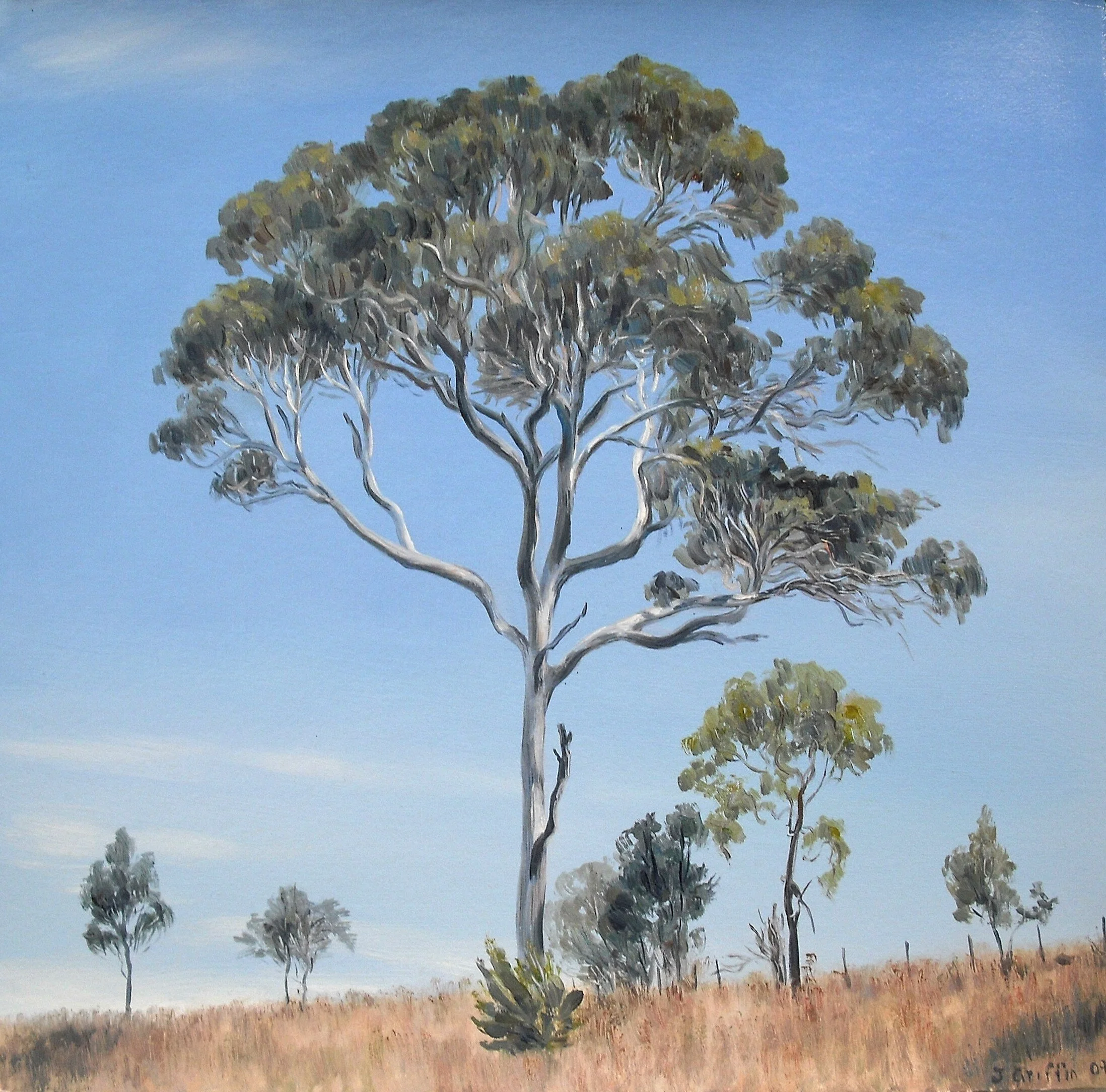 2009_Roadside_Viminalis_37x38cm