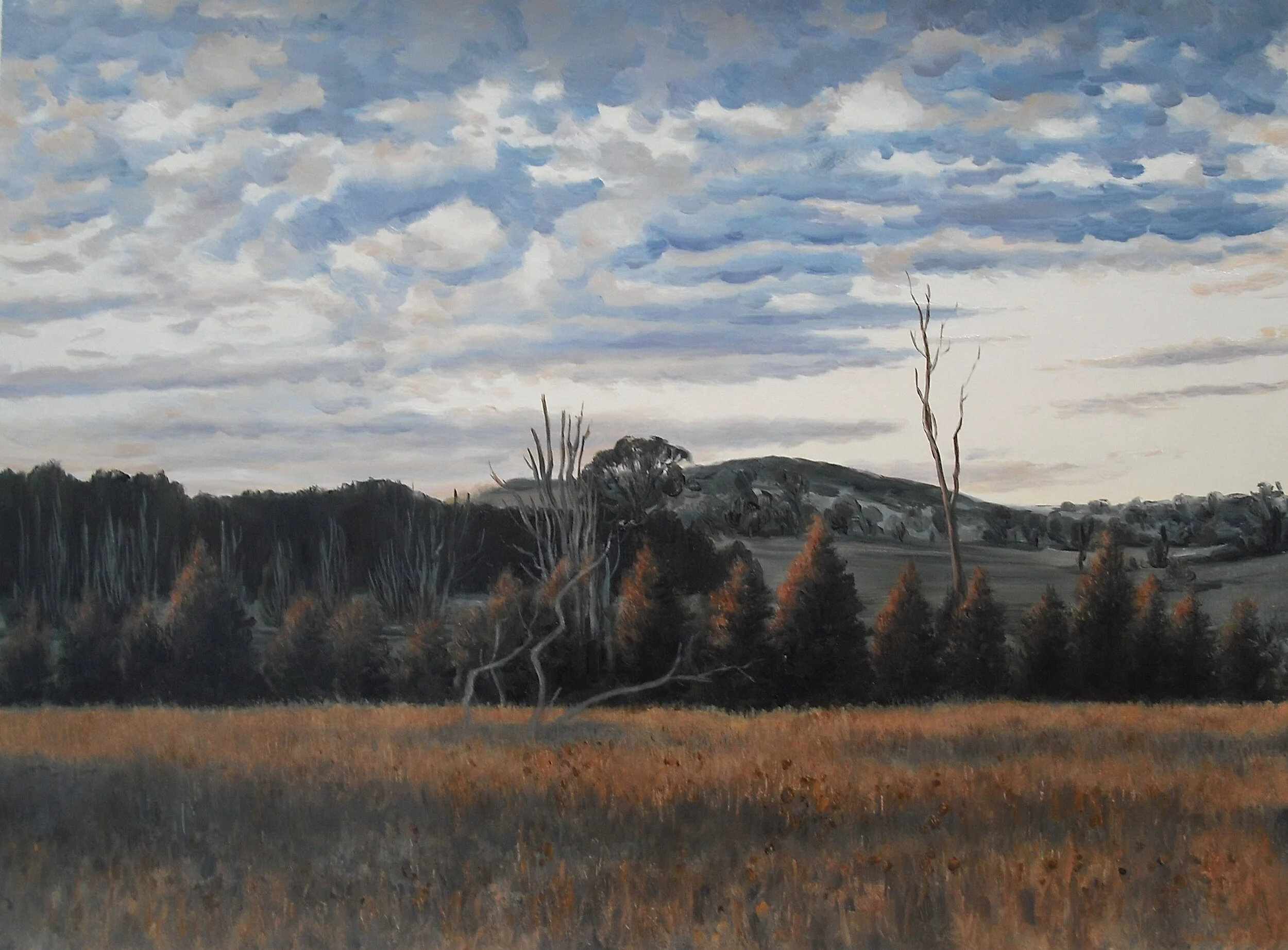 2009_Last_light_II_56x76cm