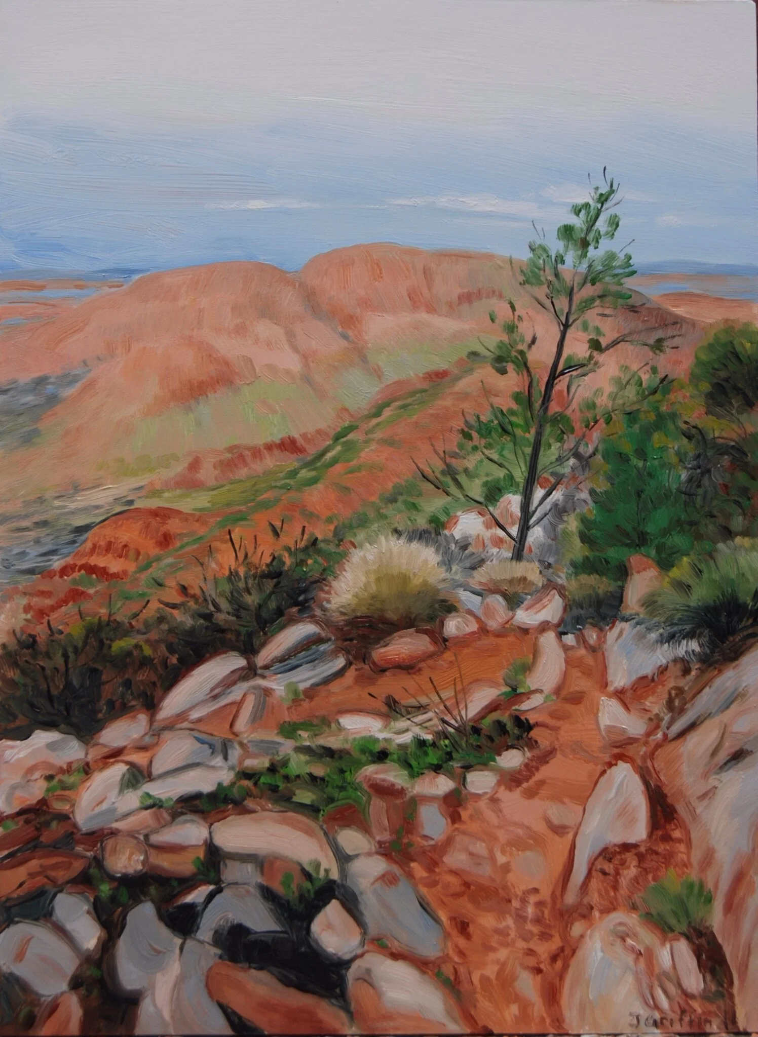 2011_Down_Rocky_Cleft_37x27cm