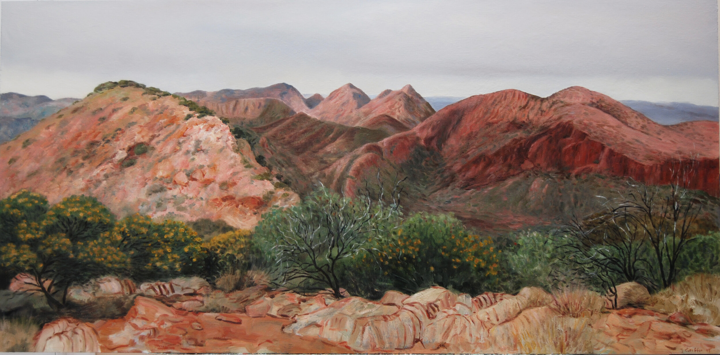 2011_Brinkley_Bluff_ 60x122cm
