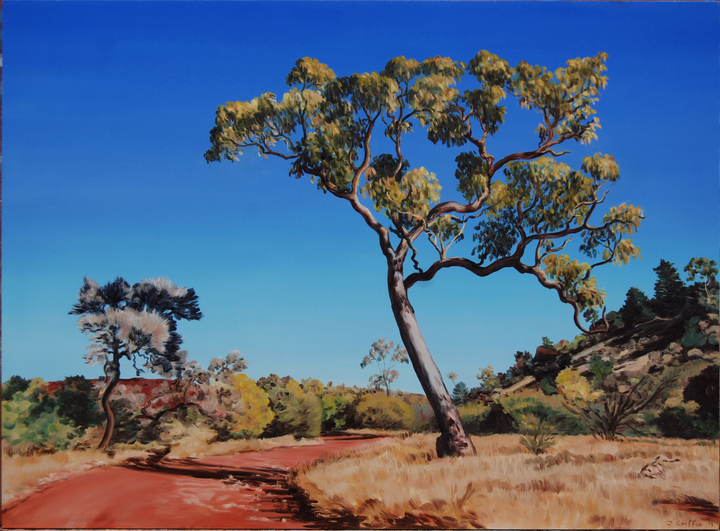 2011_Corkwood_and_Bloodwood_in_Palm_Valley_45x61cm