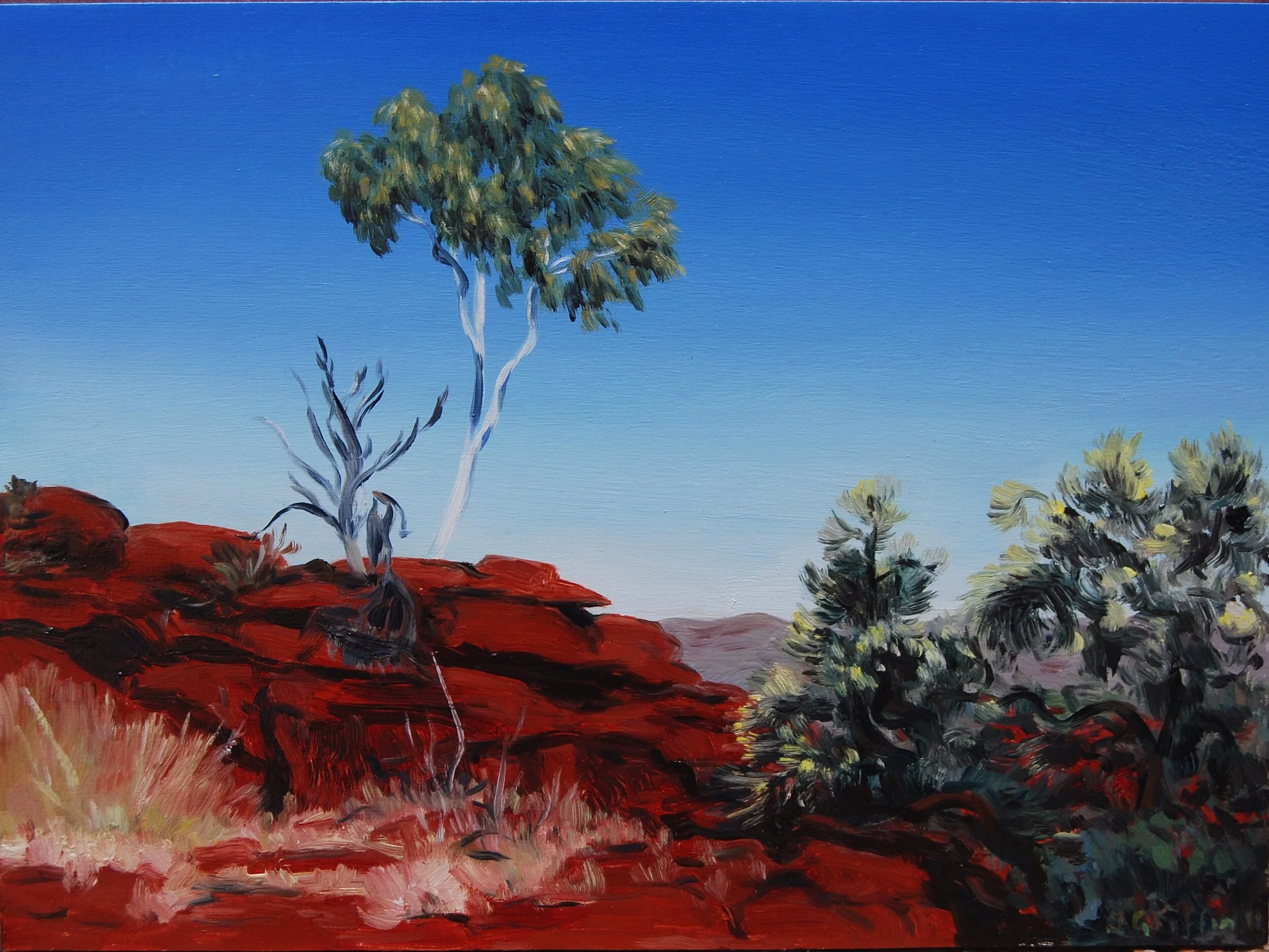 2011_Ghost_Gum_in_the_Finke_orge_20x27cm