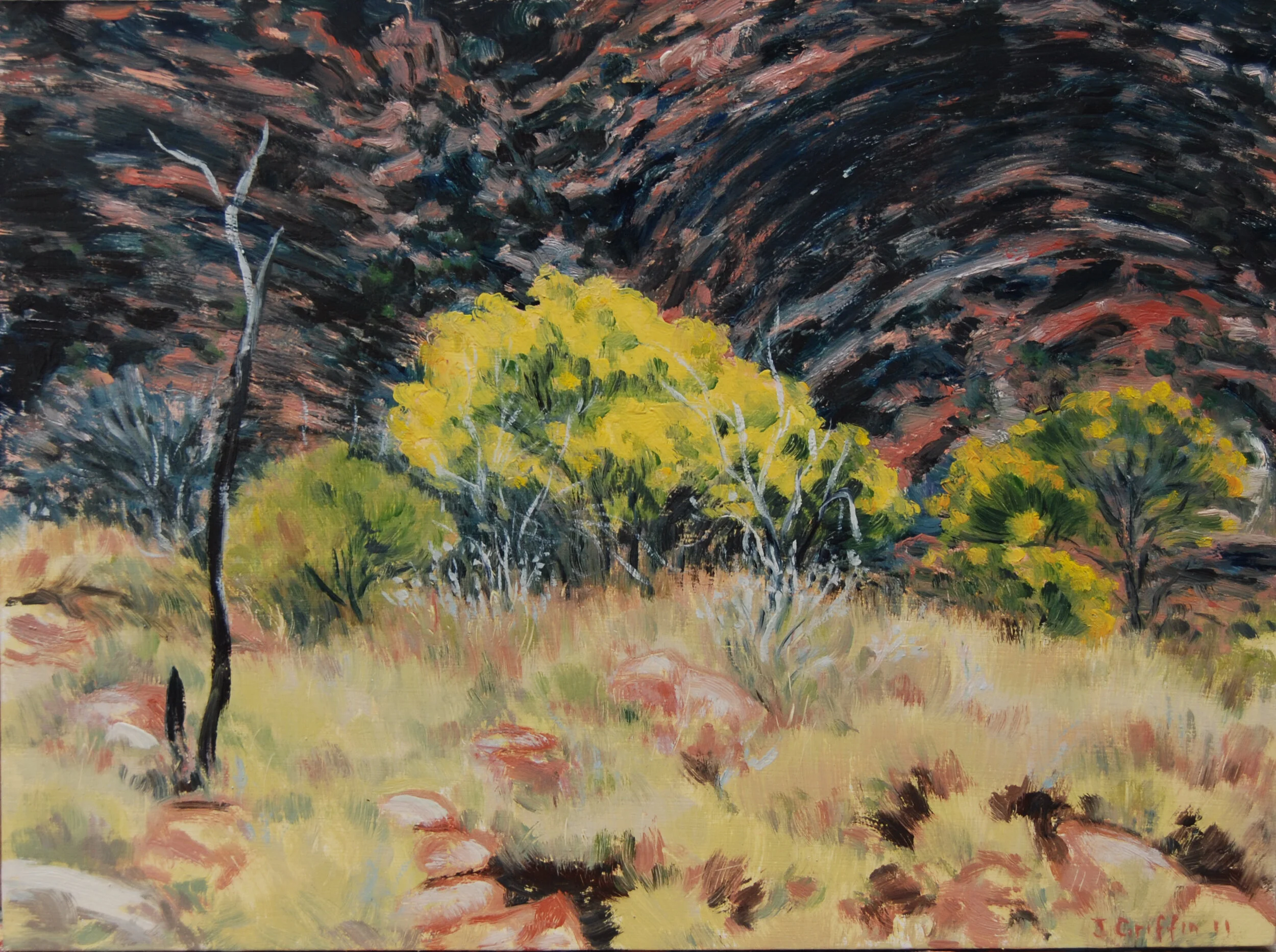 2011_Near Serpentine_Gorge_20x27cm