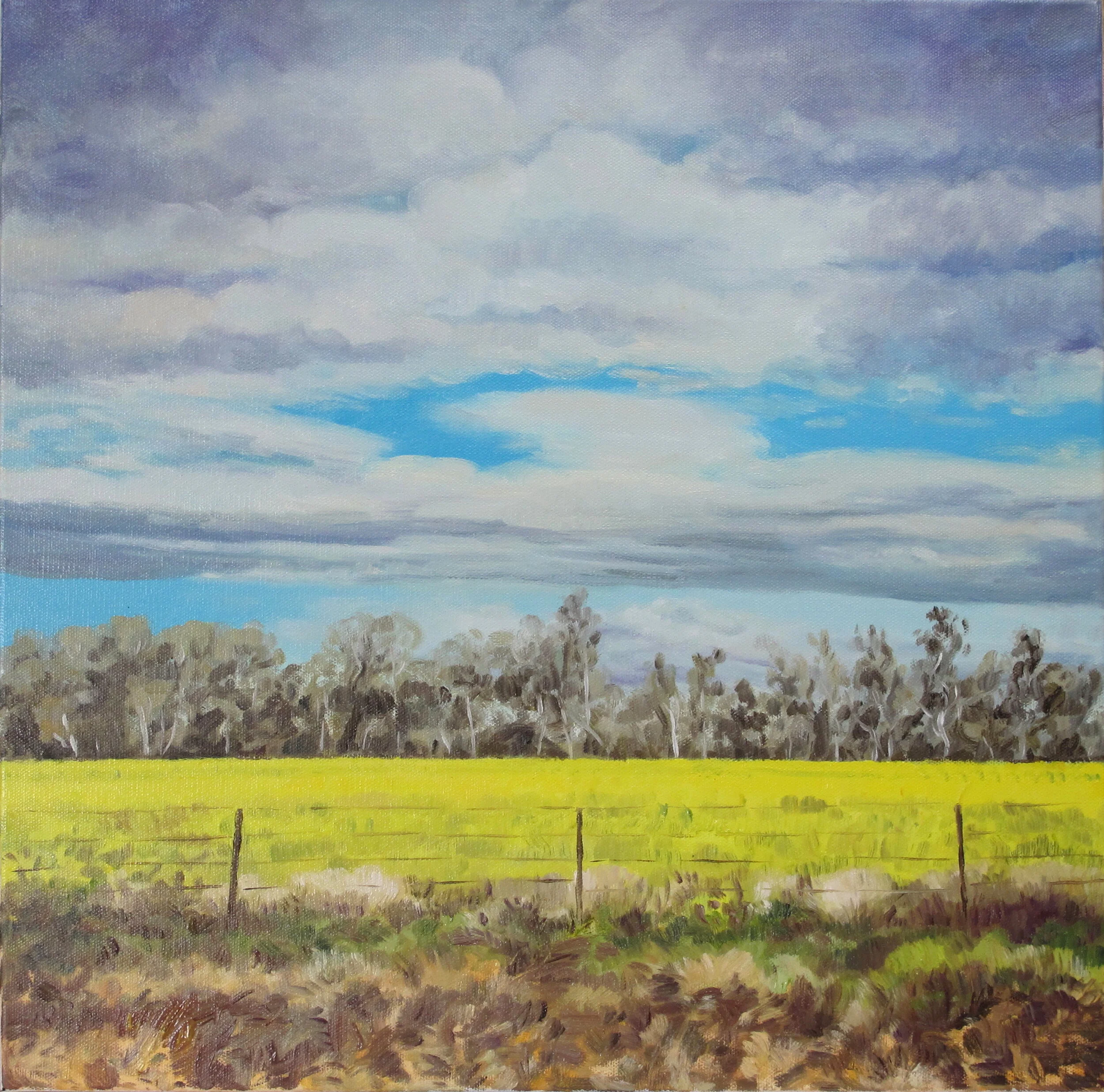 2014_Canola_on_the_Macquarie_River_46x46cm_oil_on_canvas