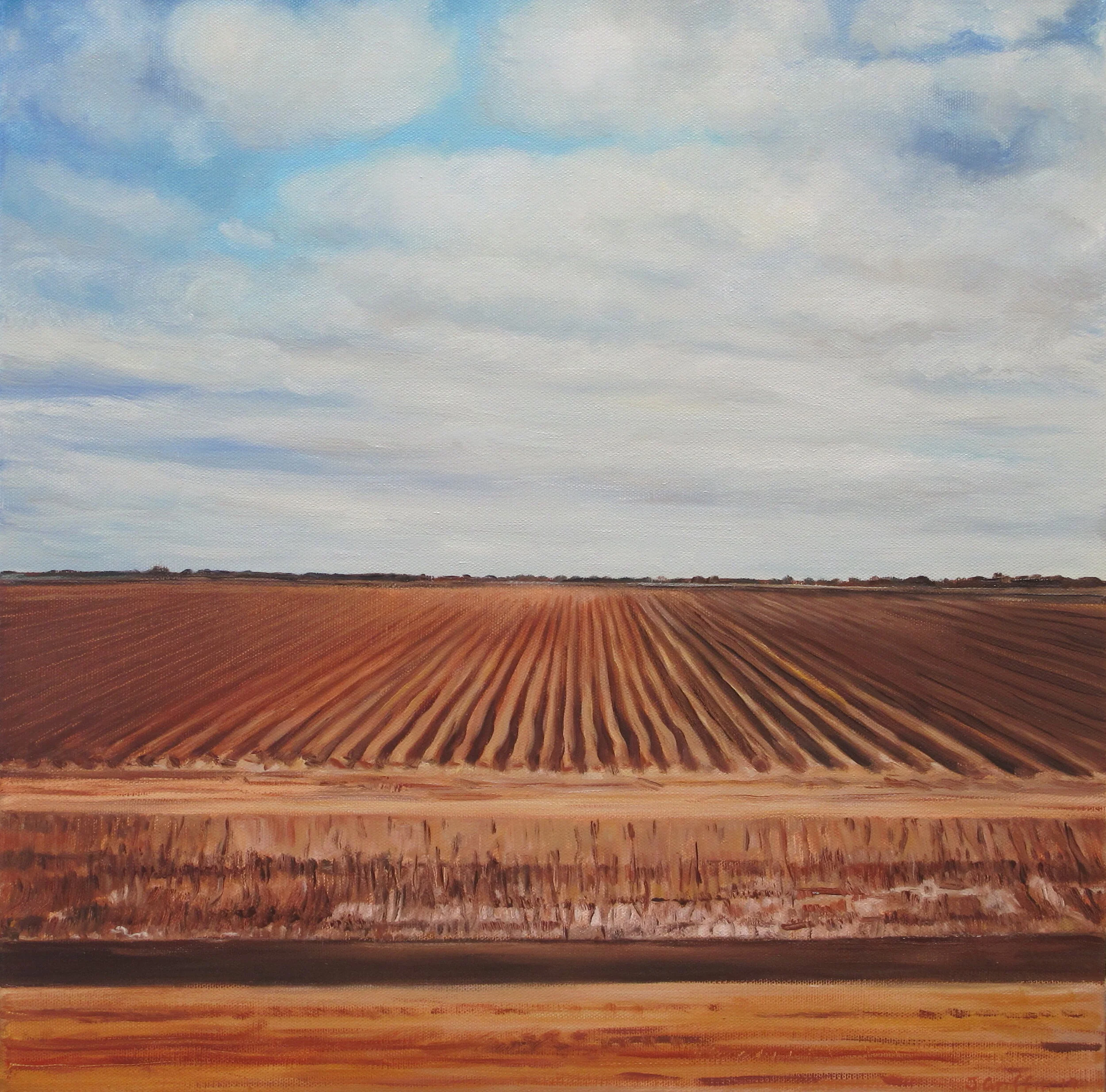 2014_Cotton_country_46x46cm_oil_on_canvas