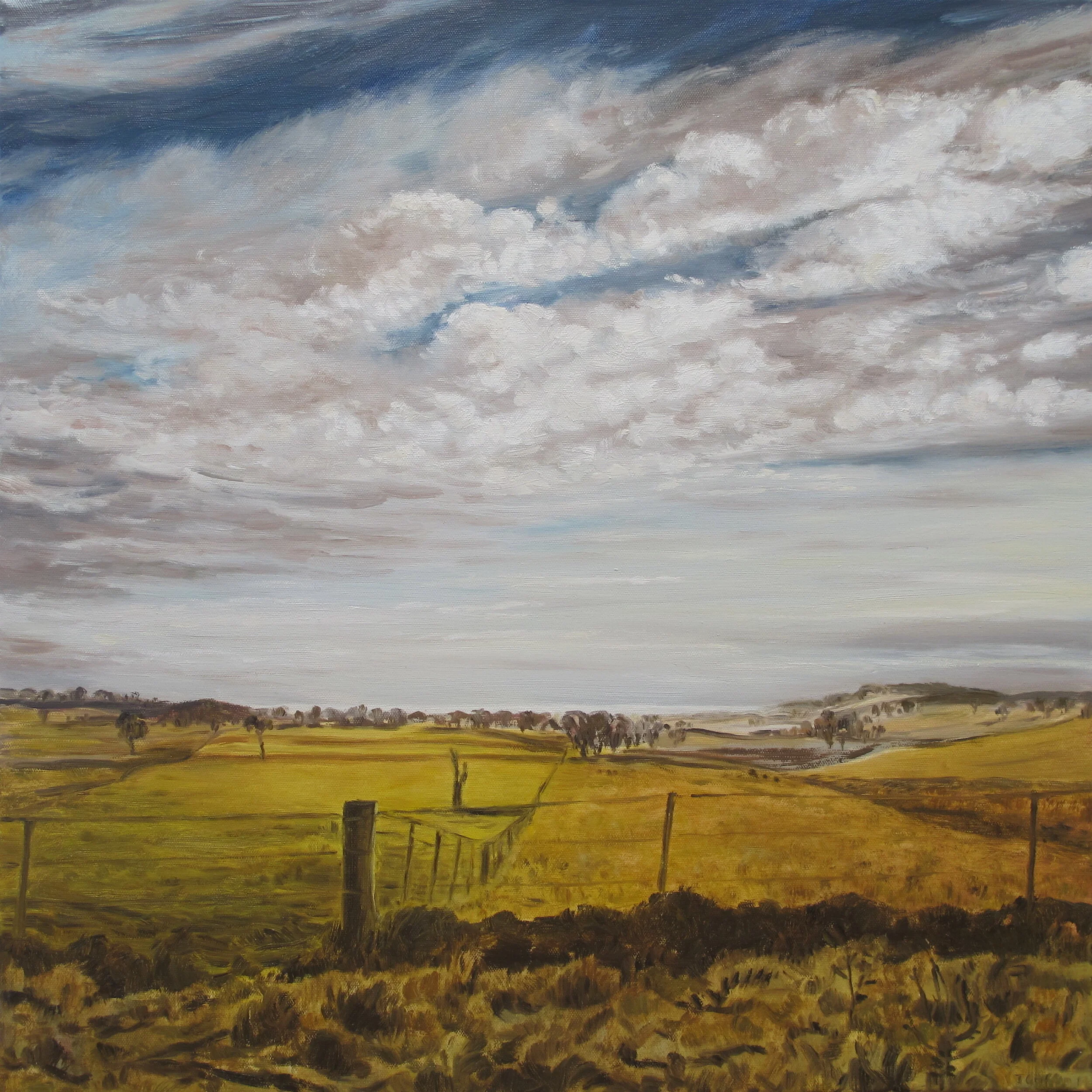 2014_Home_view_61x61cm_oil_on_canvas