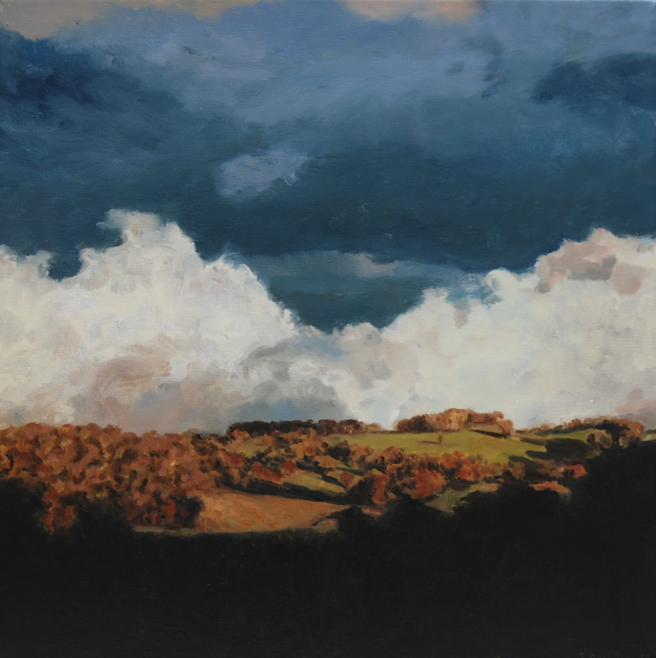 2015_Near_Topdale_Road_46x46cm