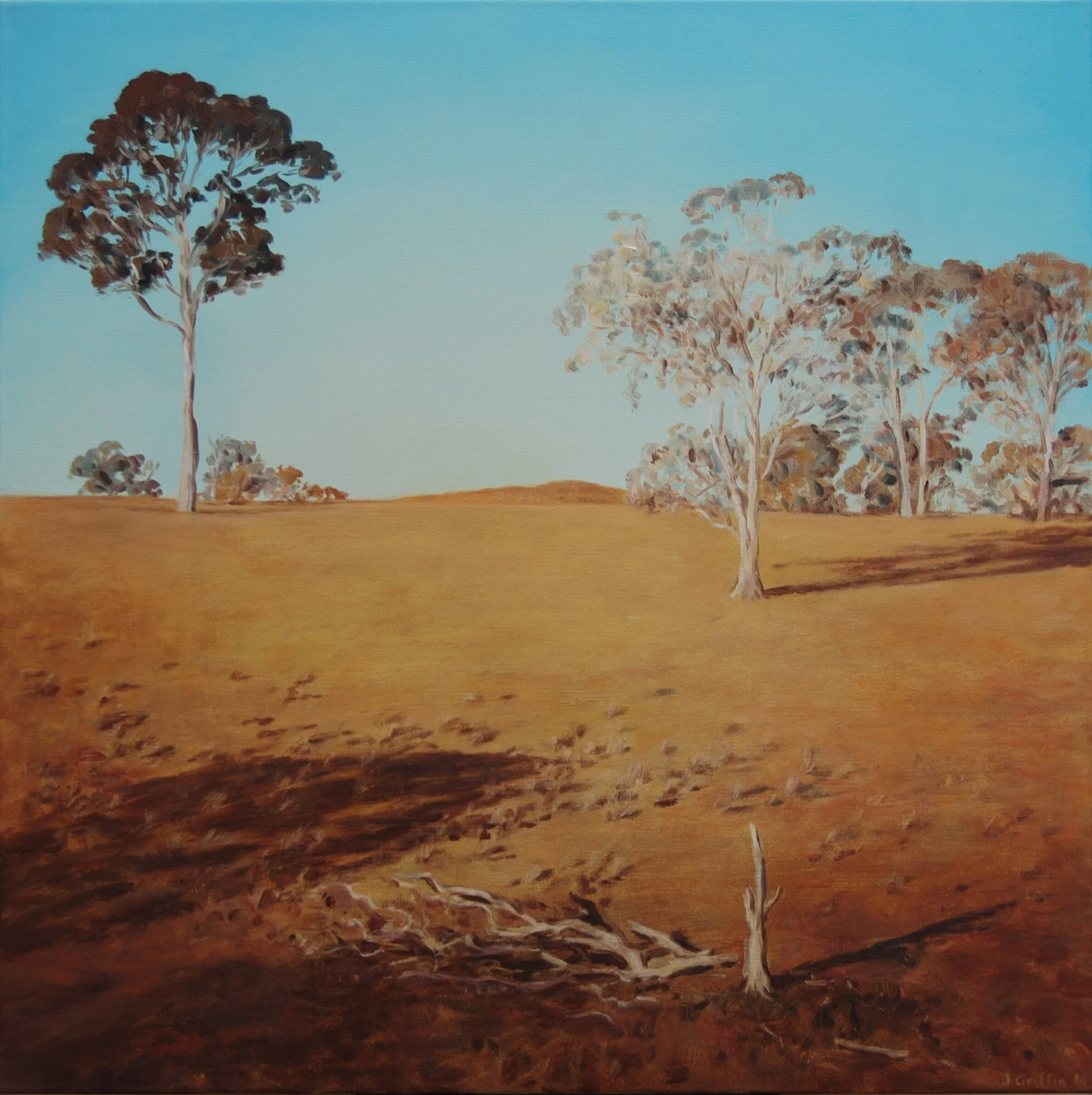 2015_Percival's_Paddock_61x61cm