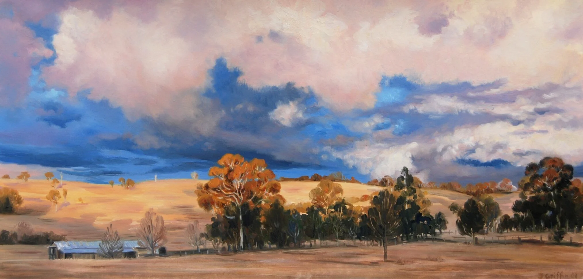 2008_Blackfellows_Gully_IV_37x76cm