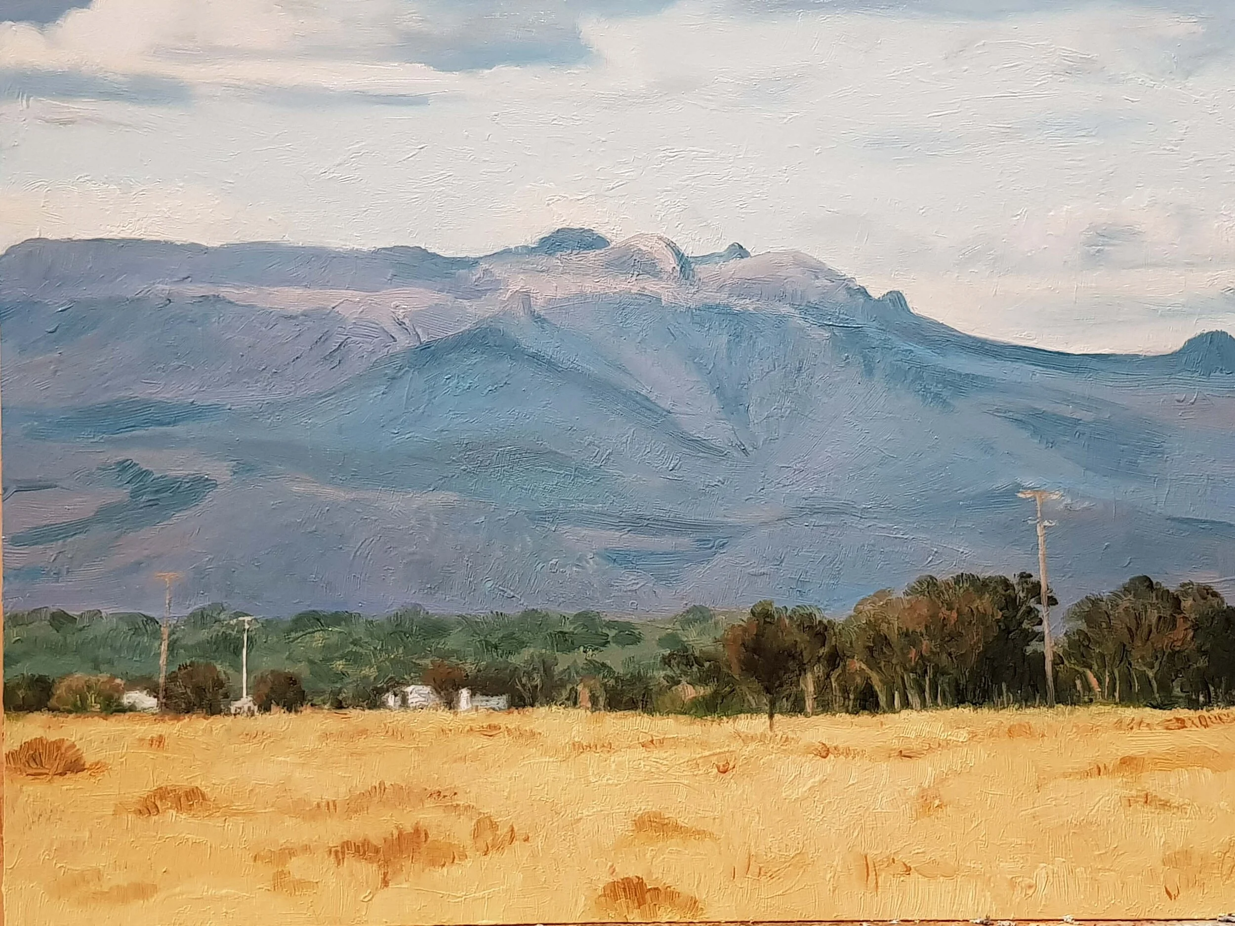2018_Blue_hills_30x40cm_oil_on_board copy