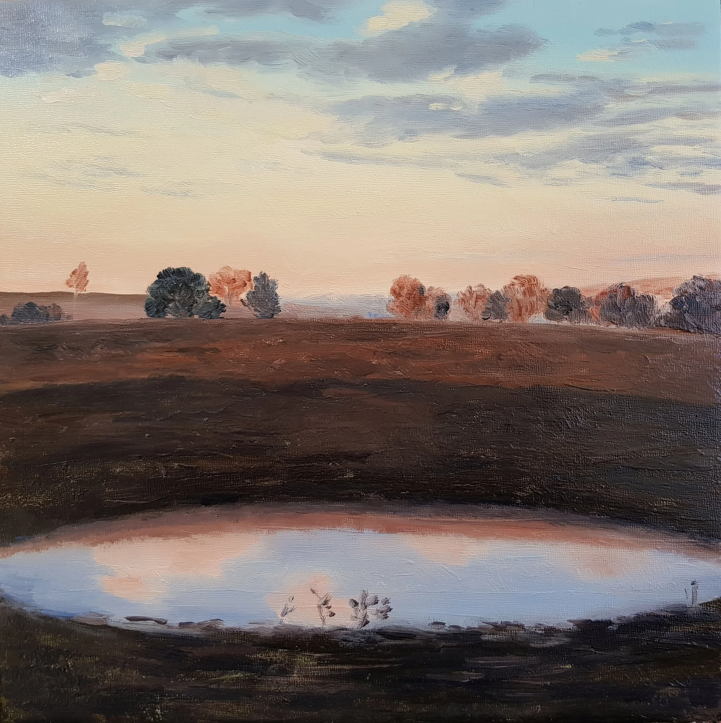 2018_Thorntons_dam_30x30cm_oil_on_board copy