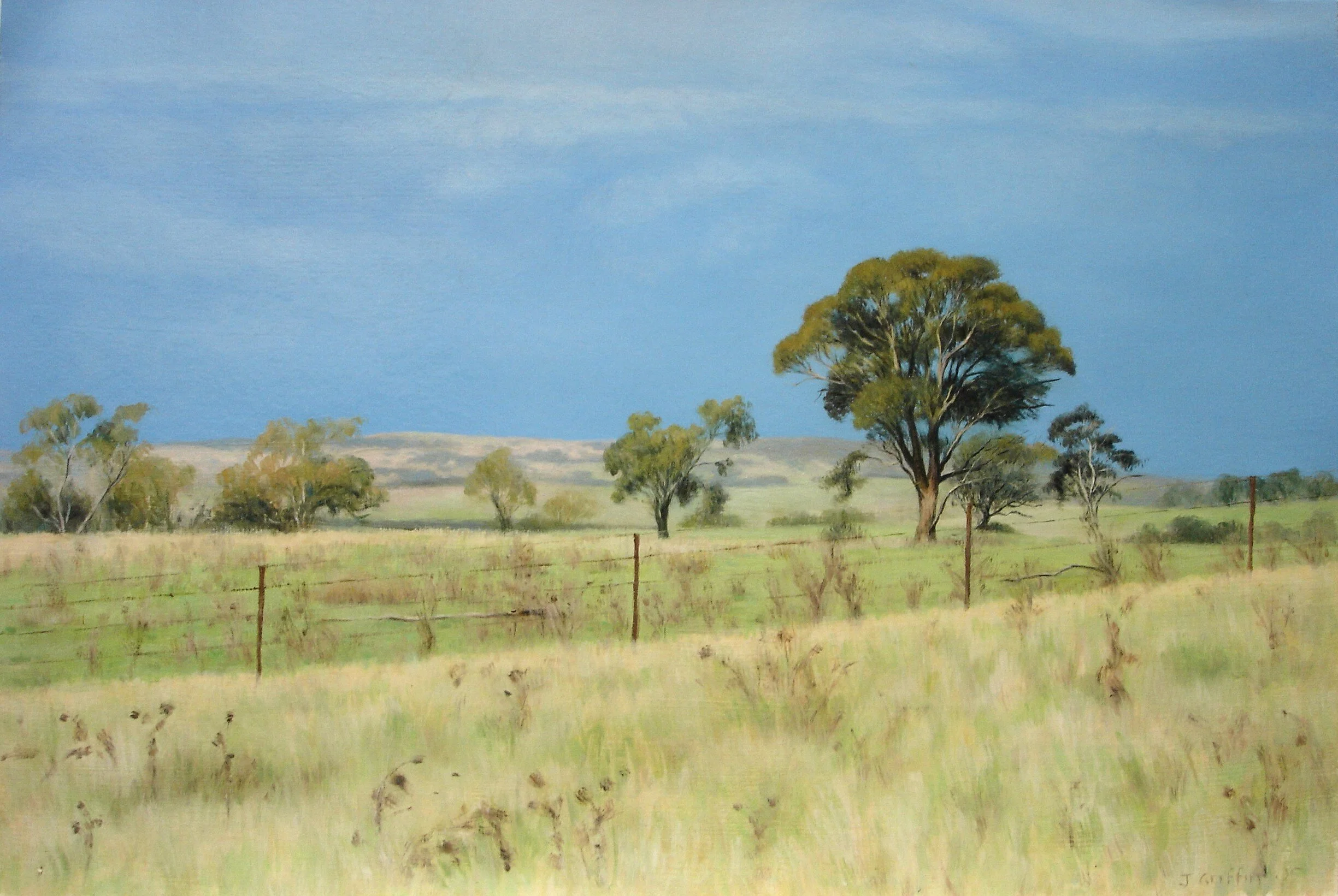 From Morgan's Gully 2005- 56x38cm