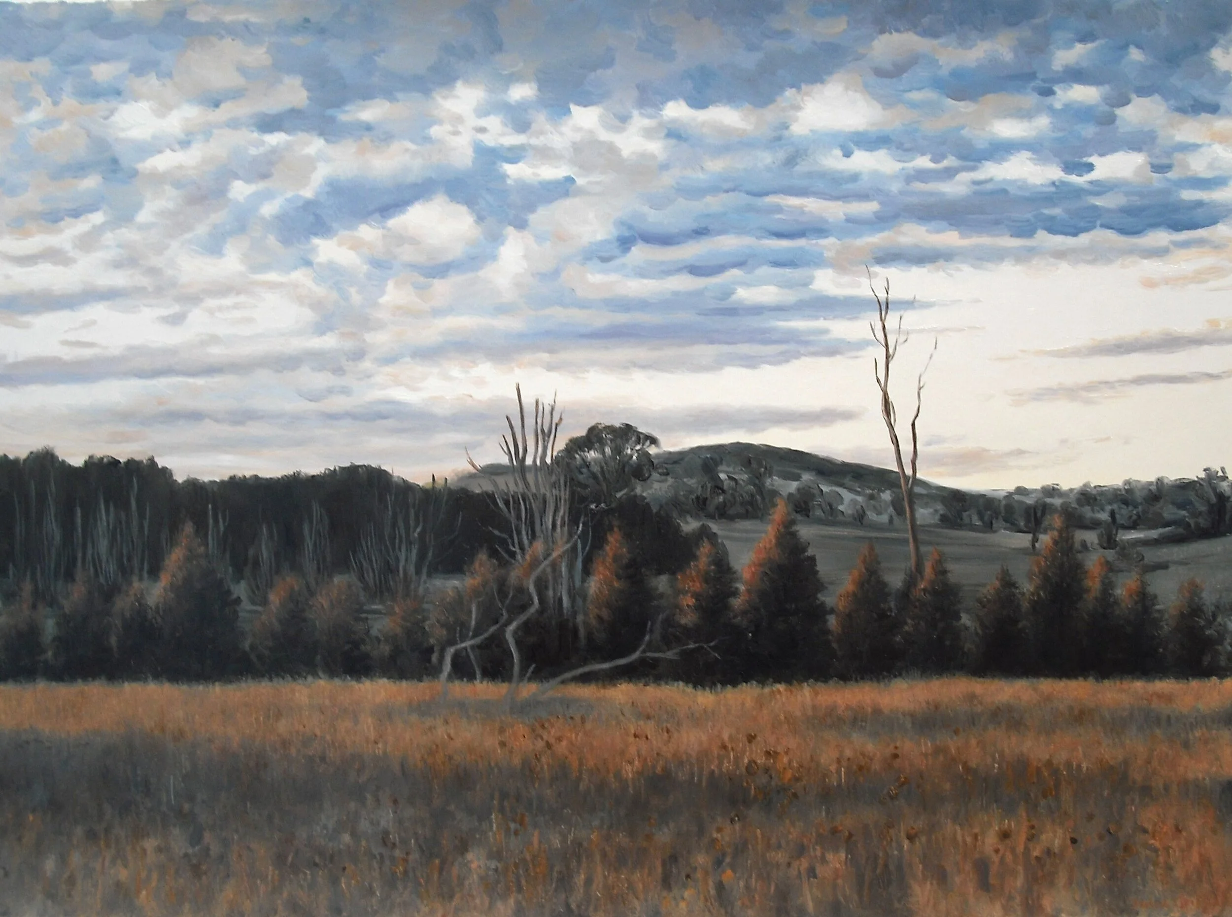 Last light II -2009-56x76cm