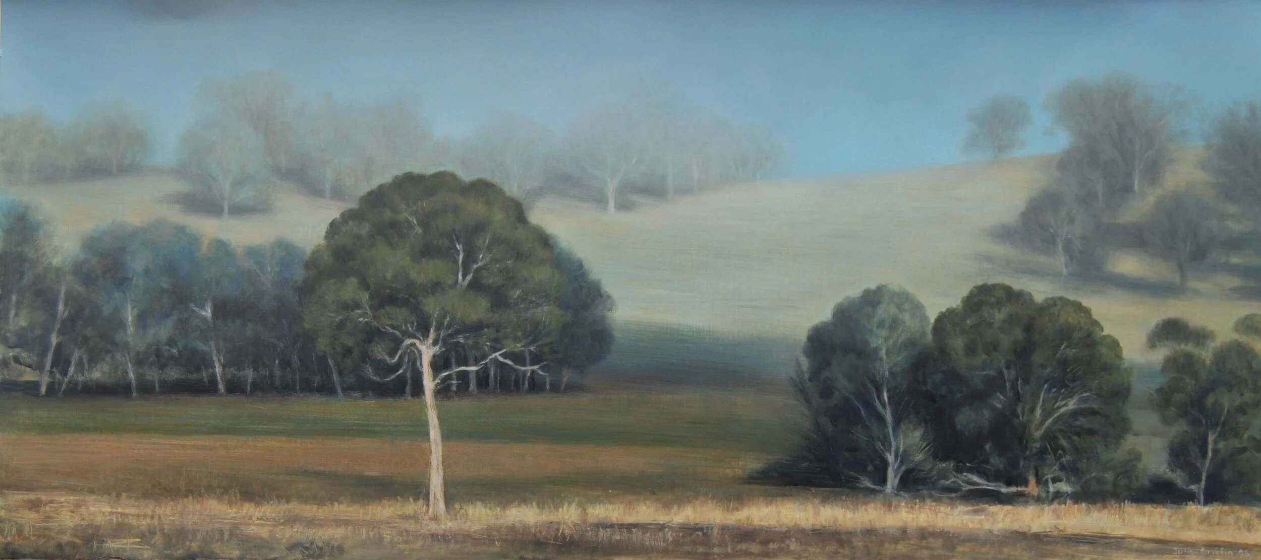 Julia Griffin - Ned's Gully - 2006 - oil on paper - 50x112cm