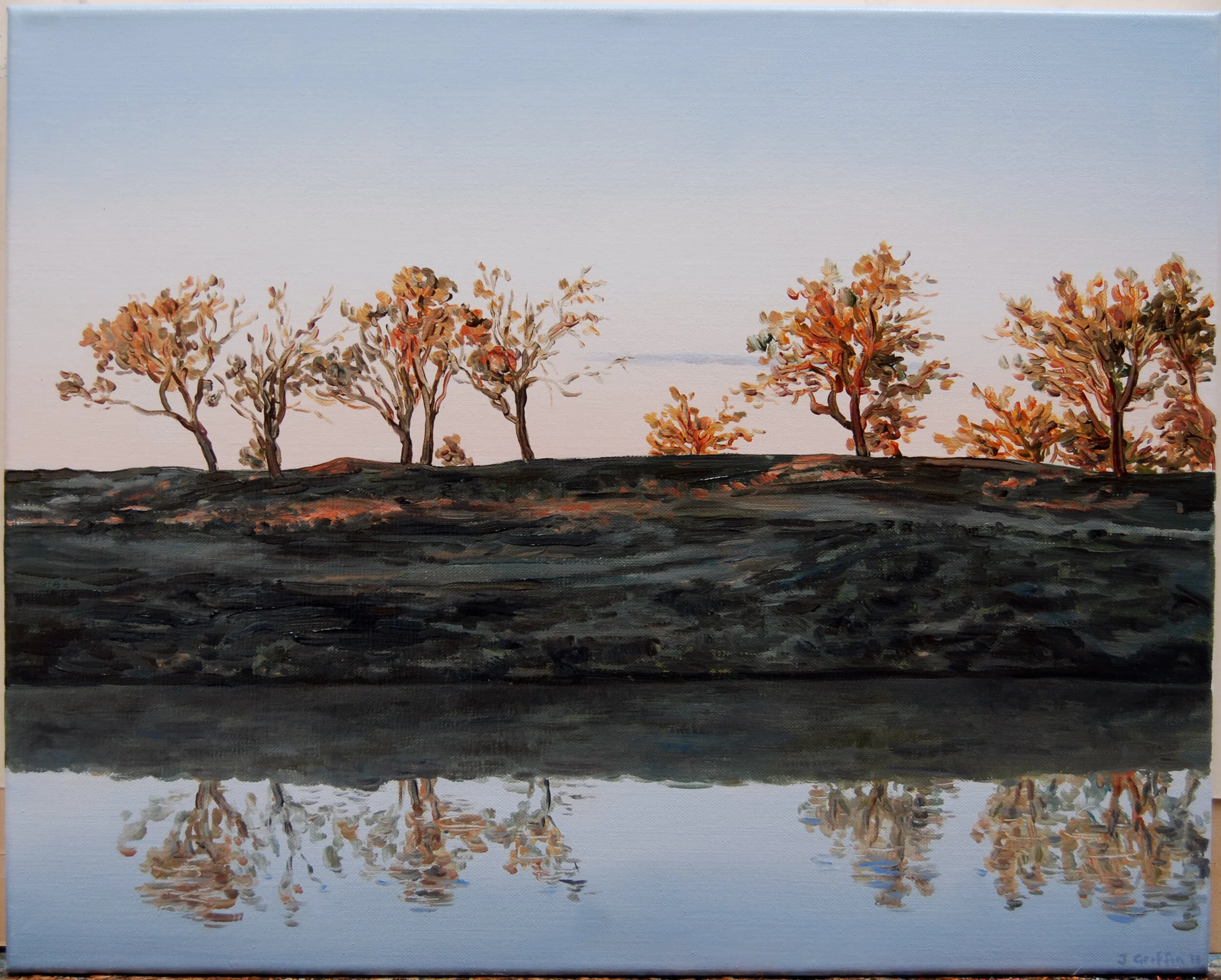Darling River -2011-410x510mm-oil on canvas