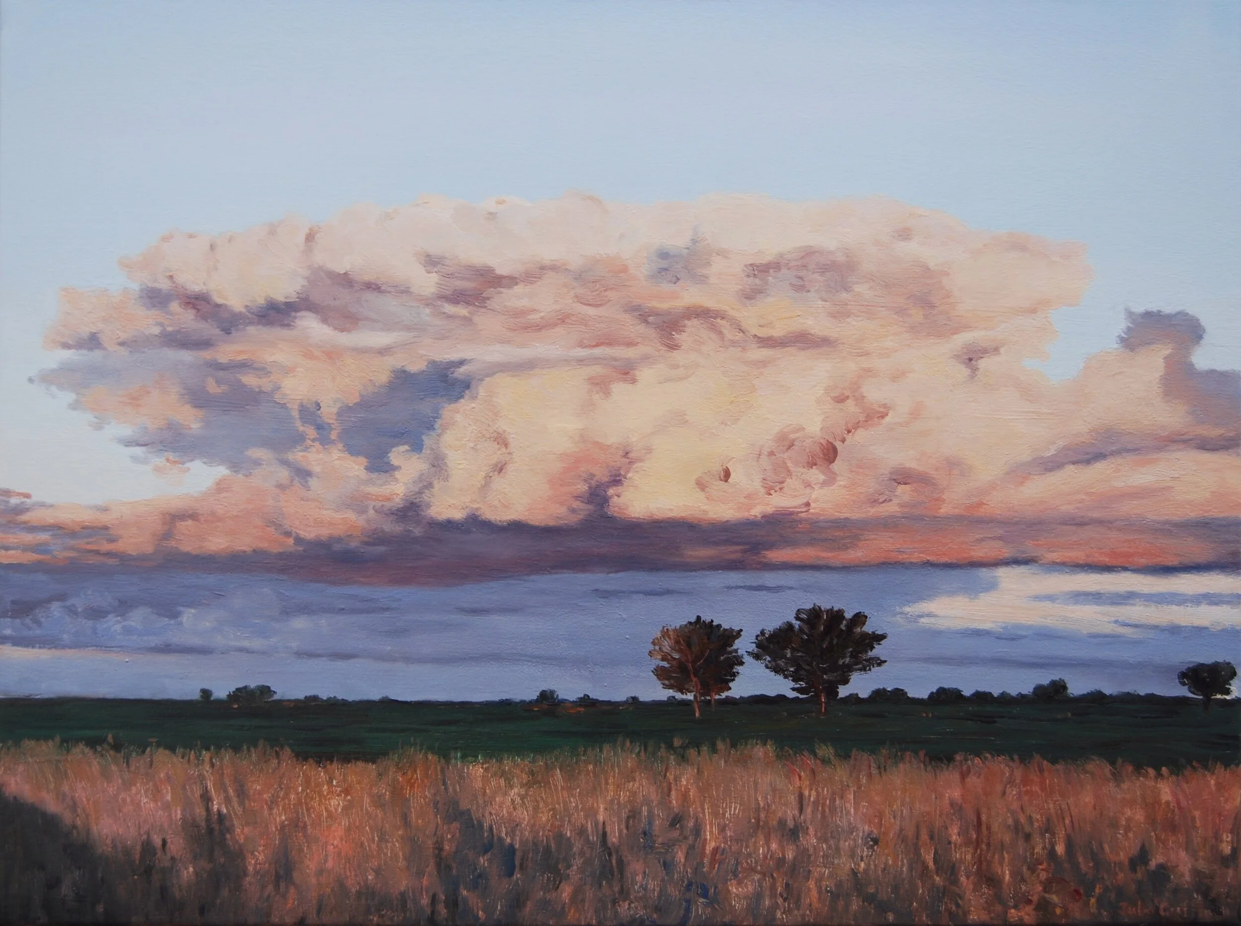 Road to Gilgandra - 2011 460x610mm-oil on canvas