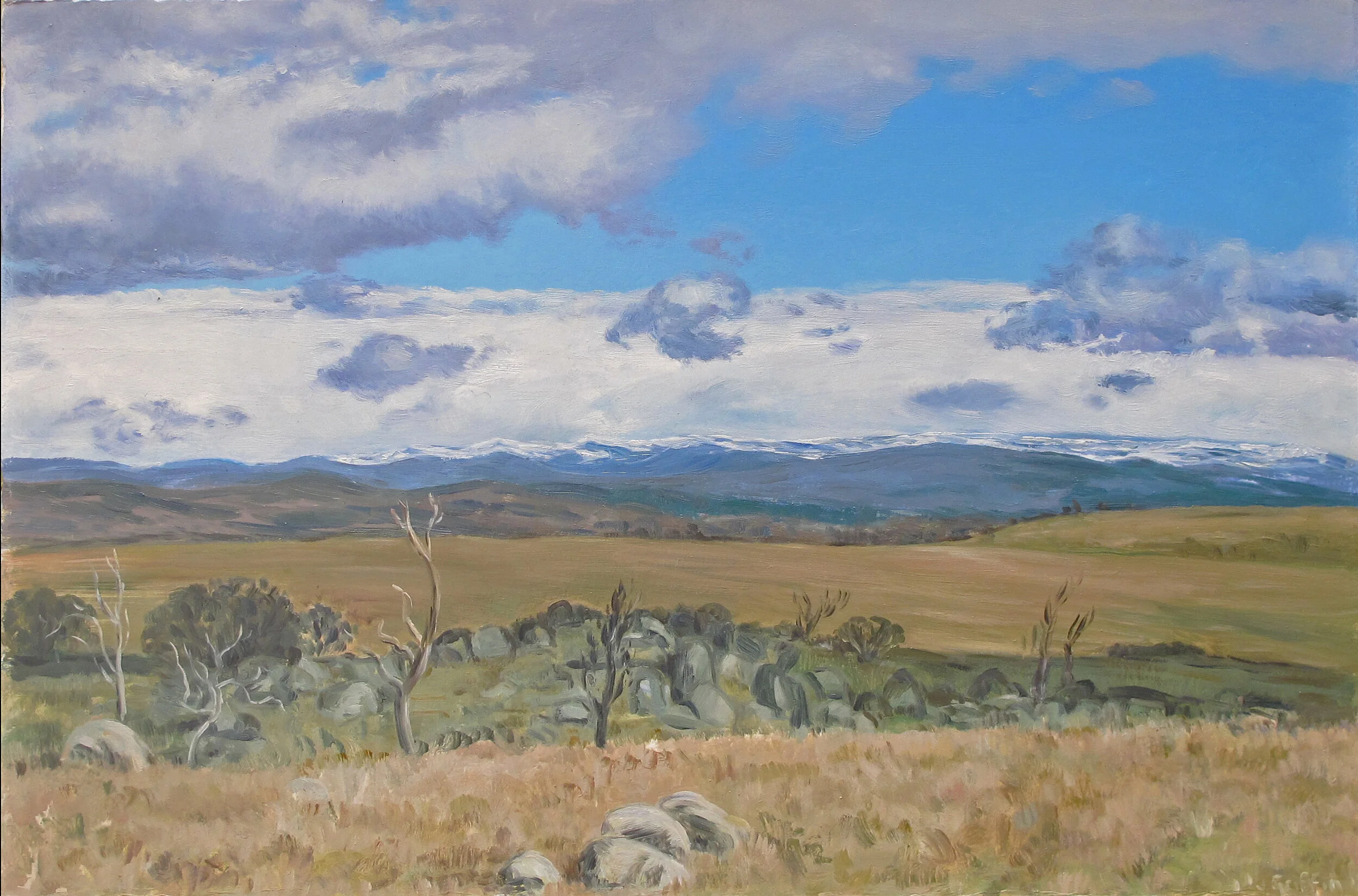 Towards the Snowies II 2013 38x57cm