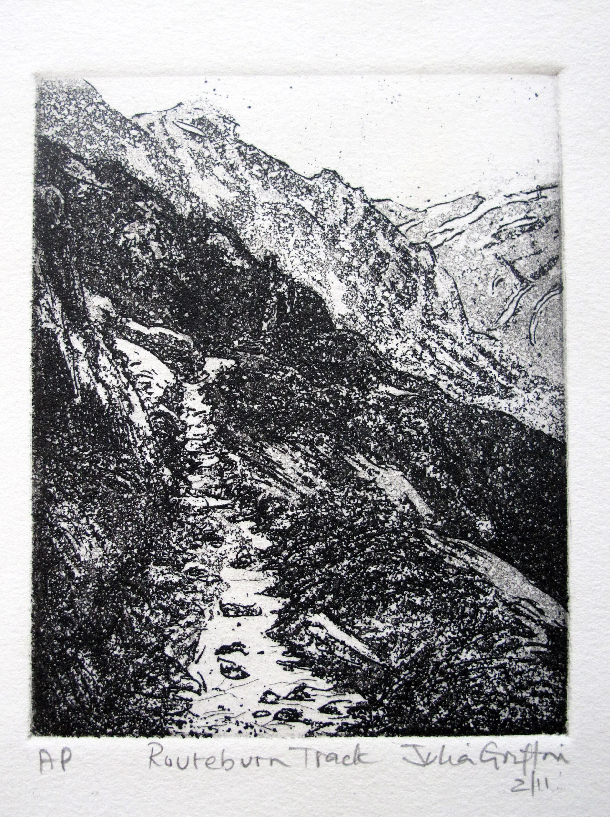 2011_Routeburn_Track