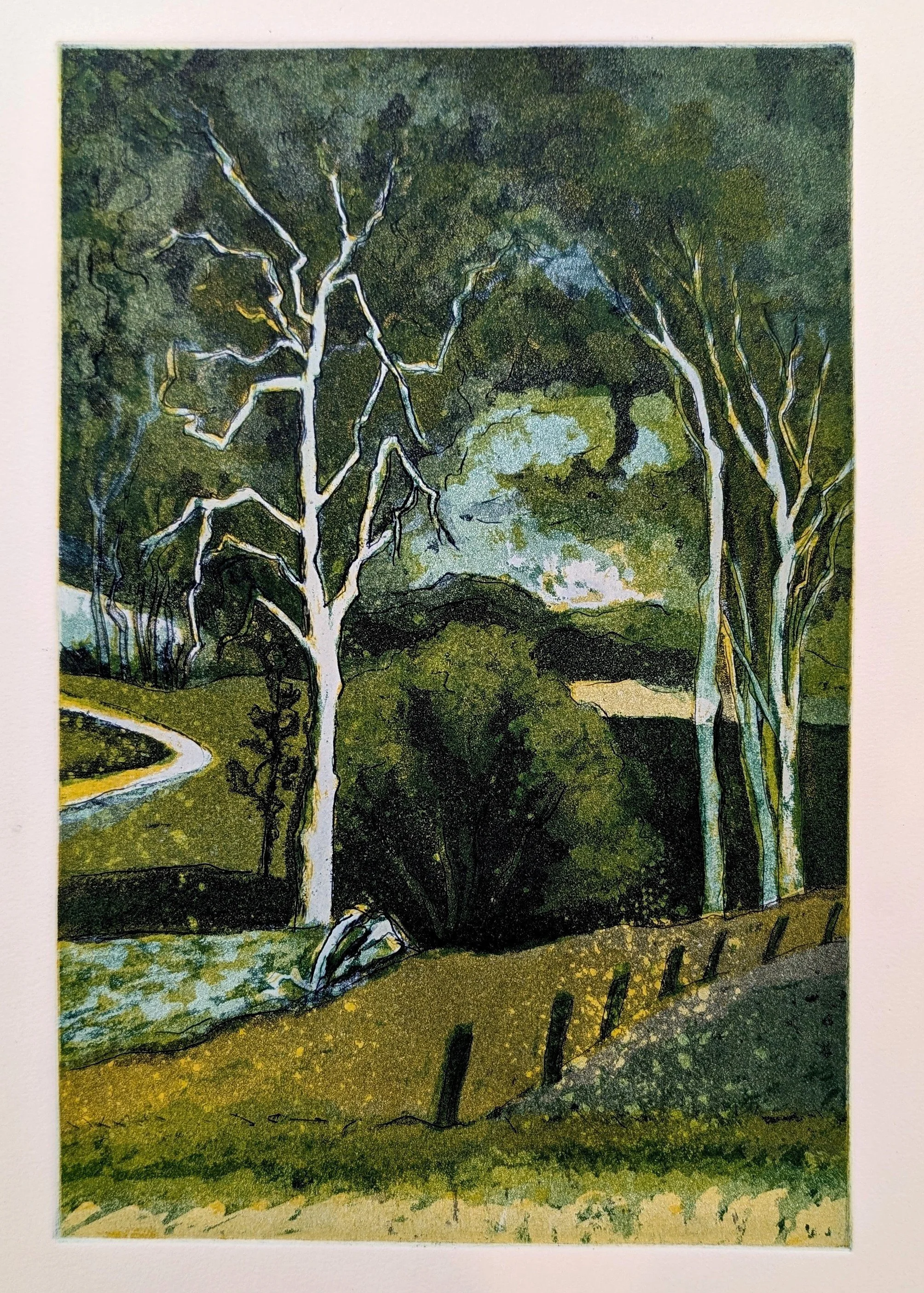 2025 View from the Verandah II-30x20cm- 3 plate etching