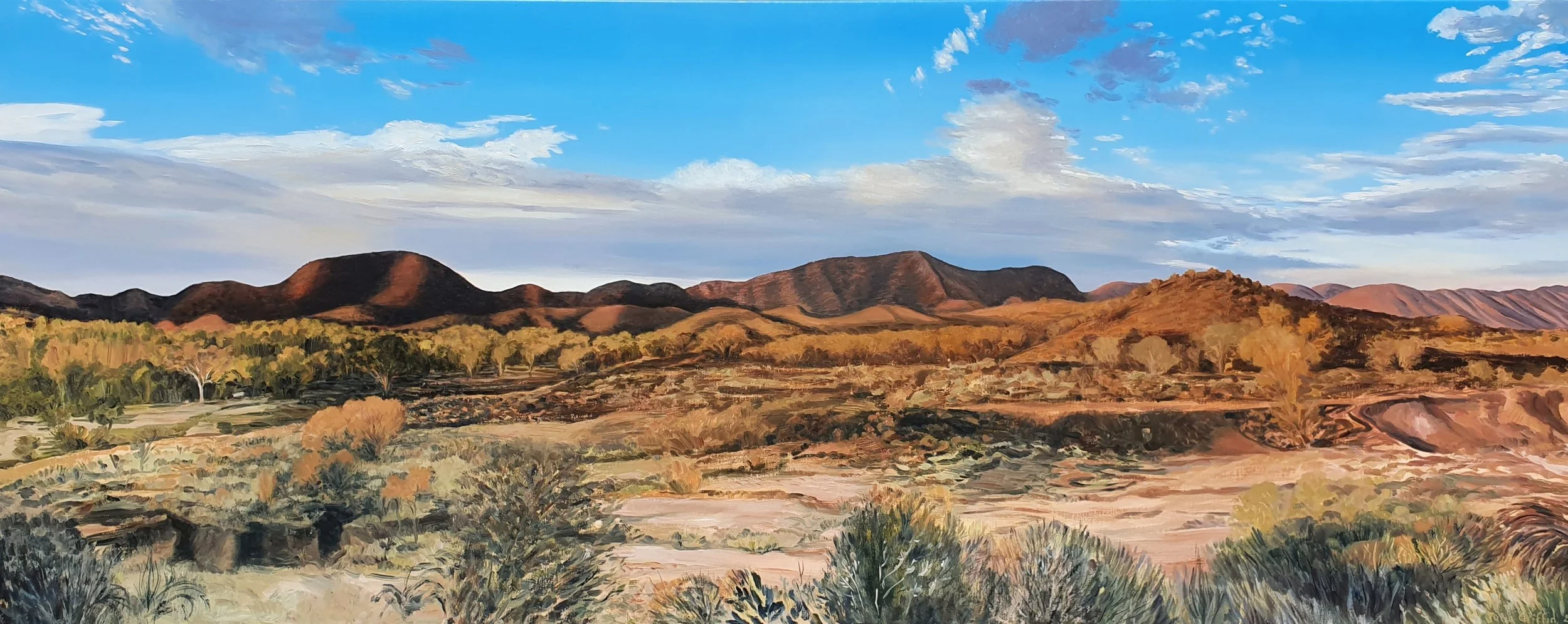2021 Larapinta 60x152cm - oil on canvas