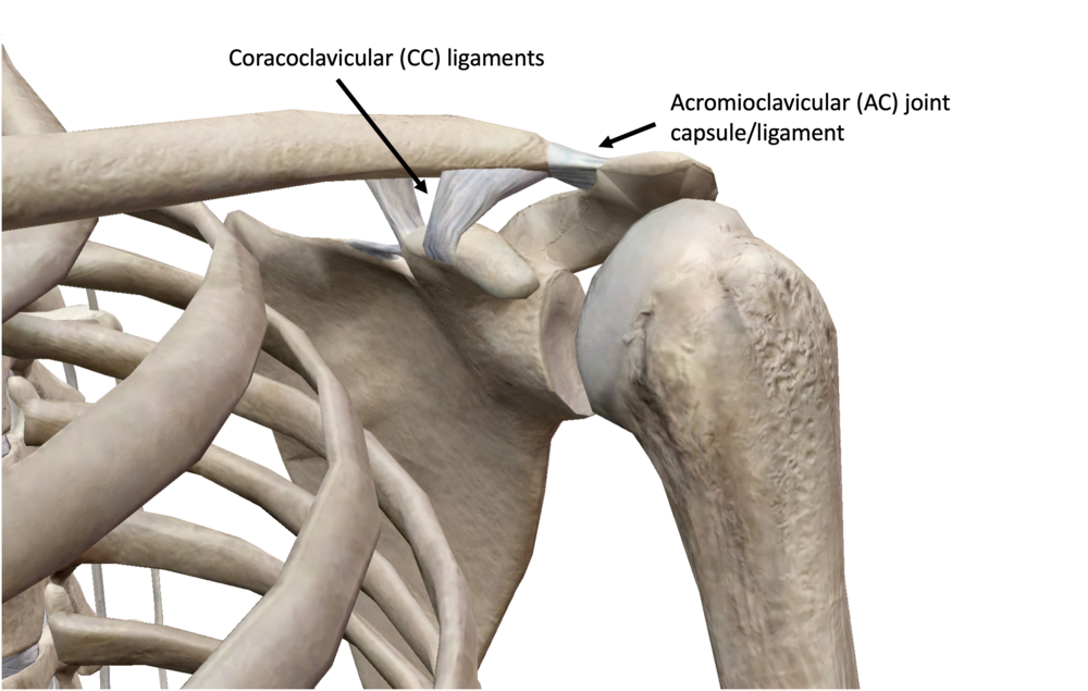 AC Joint Shoulder Separation Michael Fu, MD - HSS Shoulder Surgery