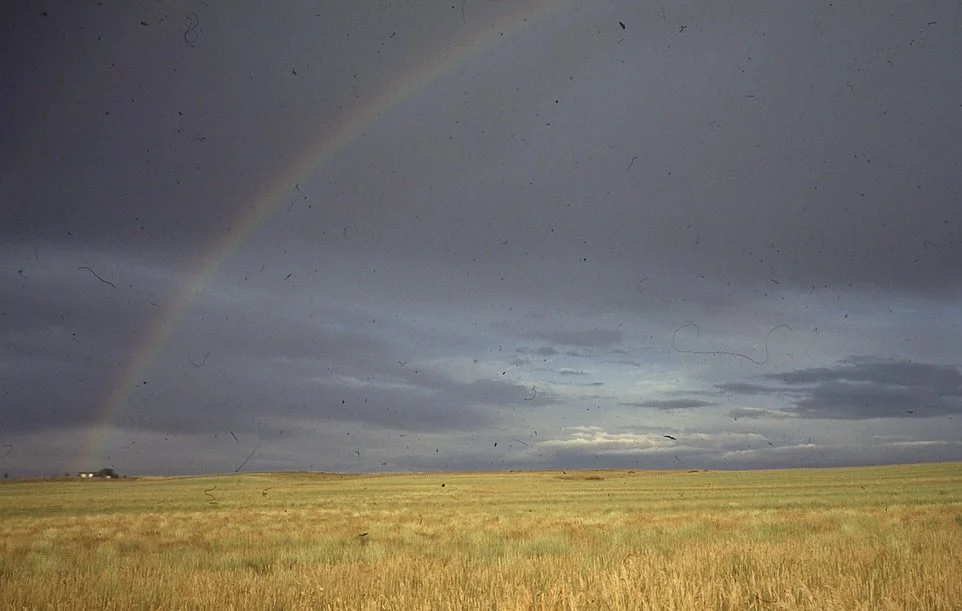 whenever I go back home to visit, it feels like a breath of fresh air. 😌

living in the city and being surrounded by buildings, cars, people, with all the hustle and bustle can get a little claustrophobic to me. when I travel back home, there&rsquo;