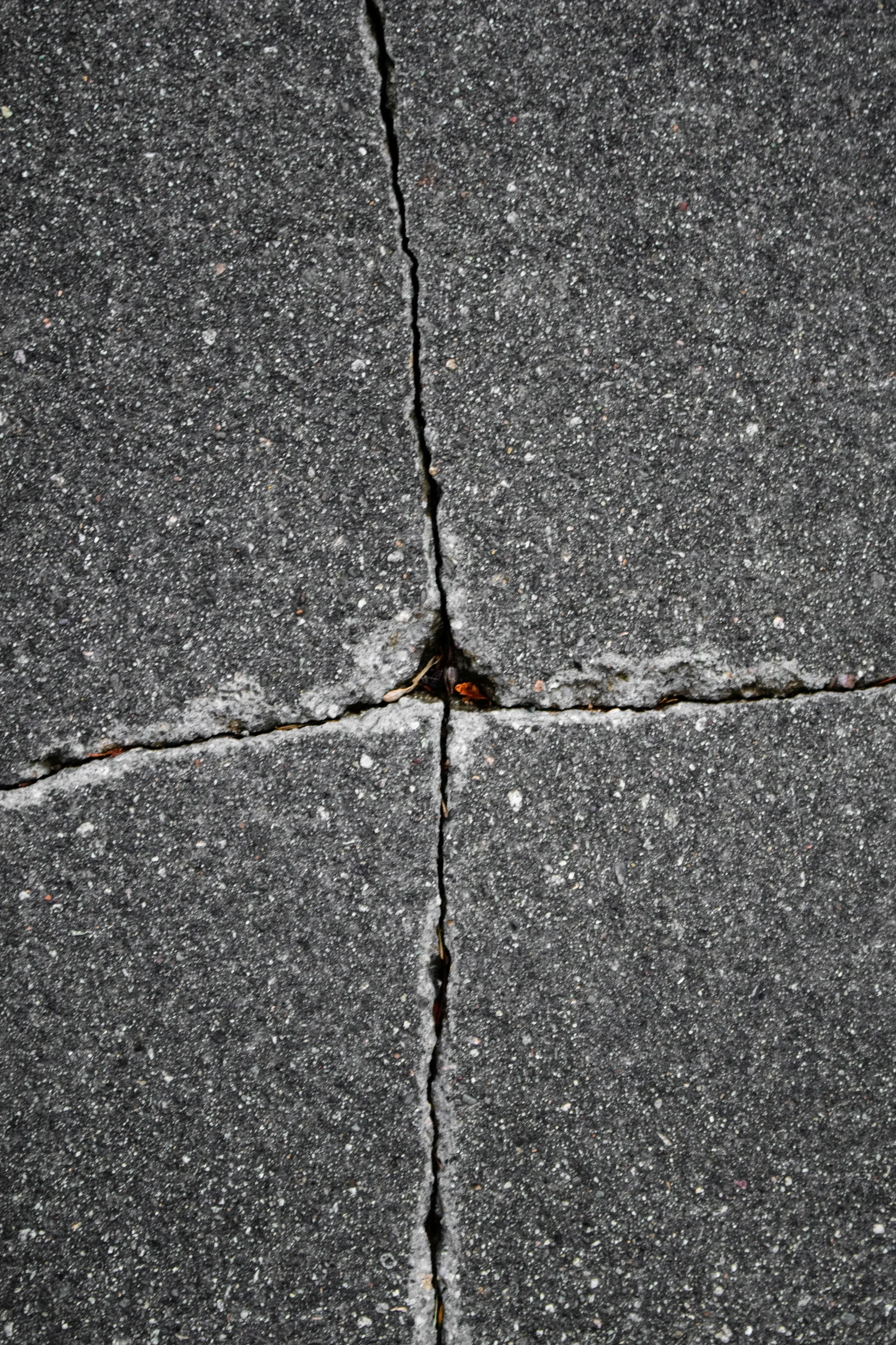 Real Estate + Housing