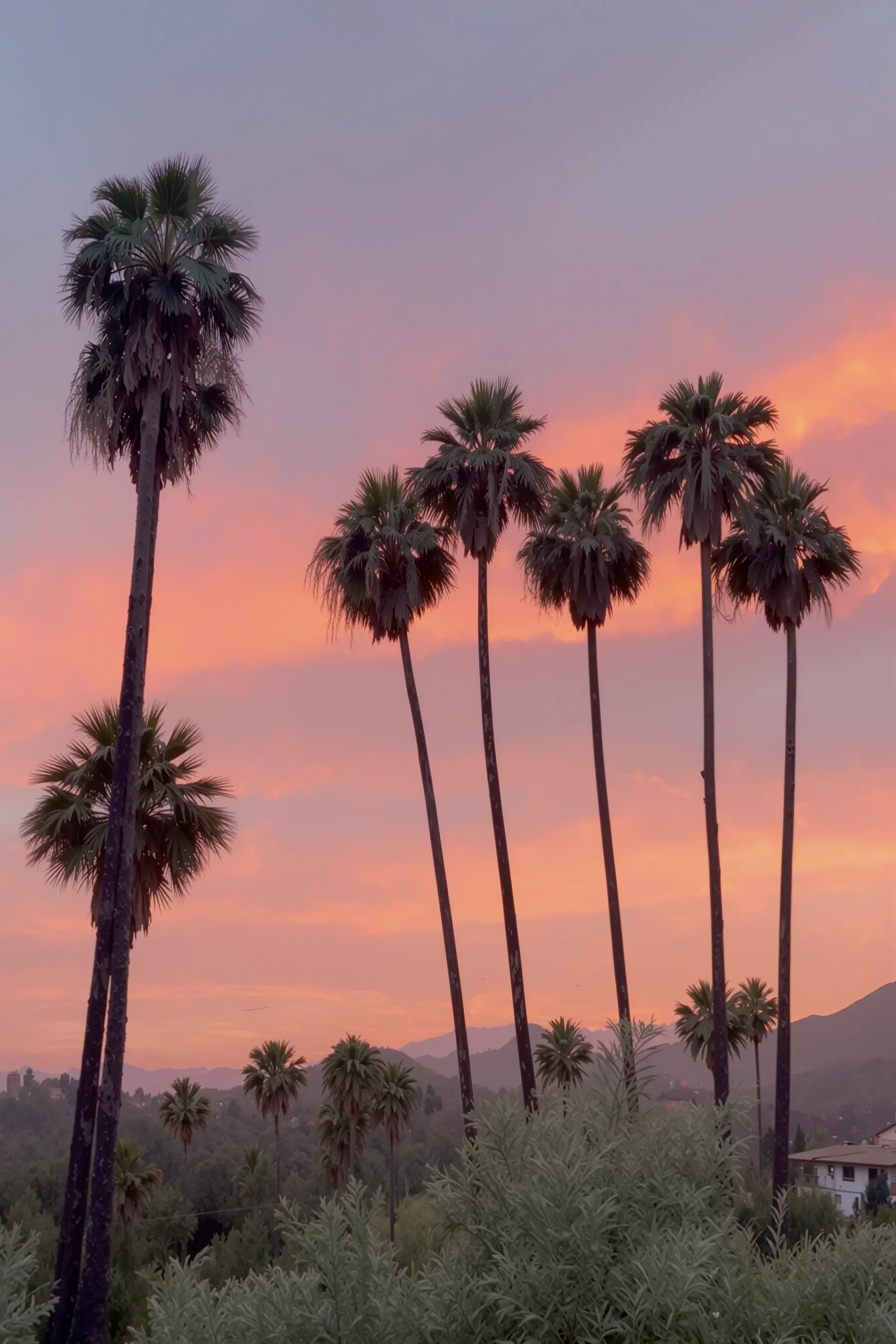 Real Estate + Housing