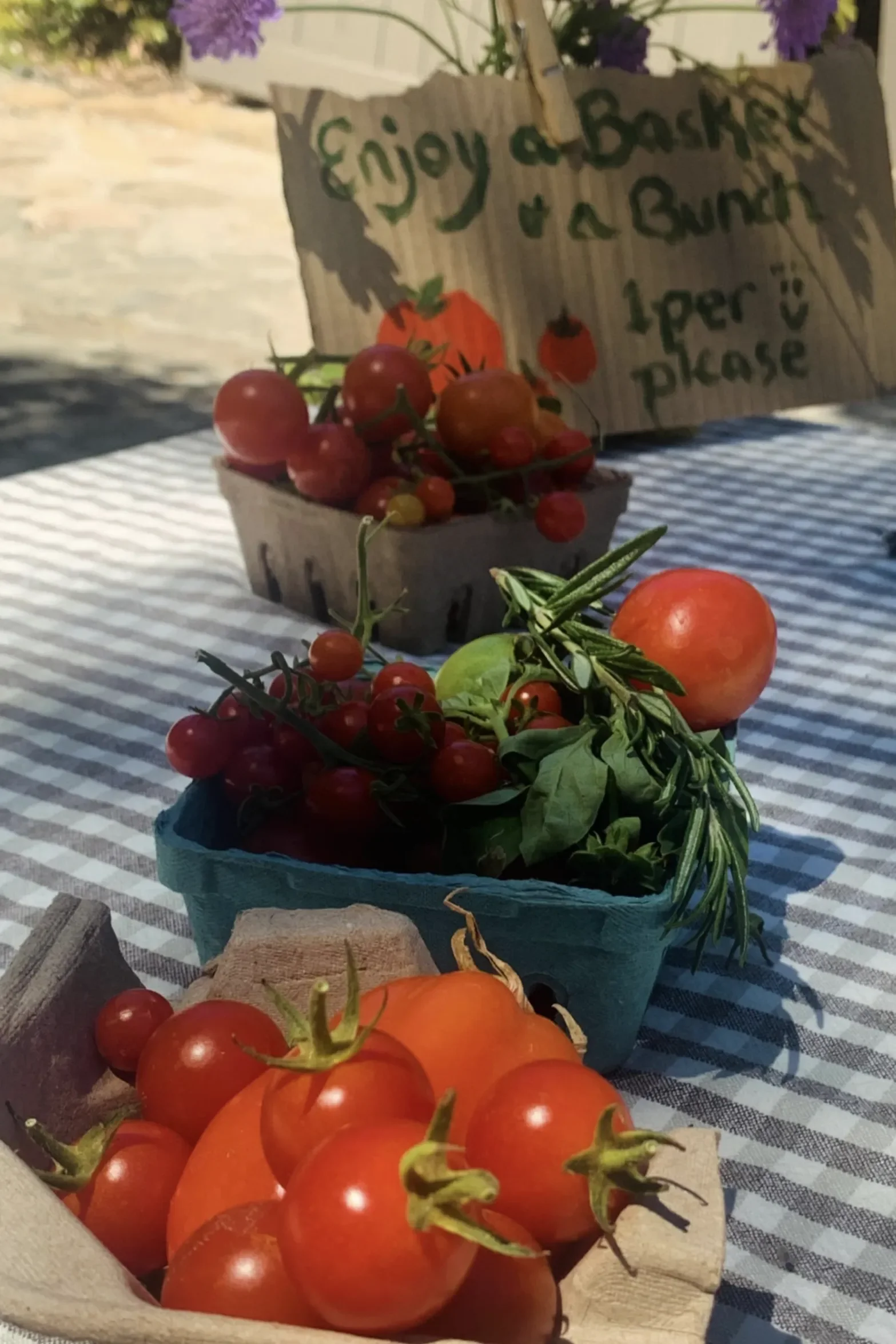 Food Scene