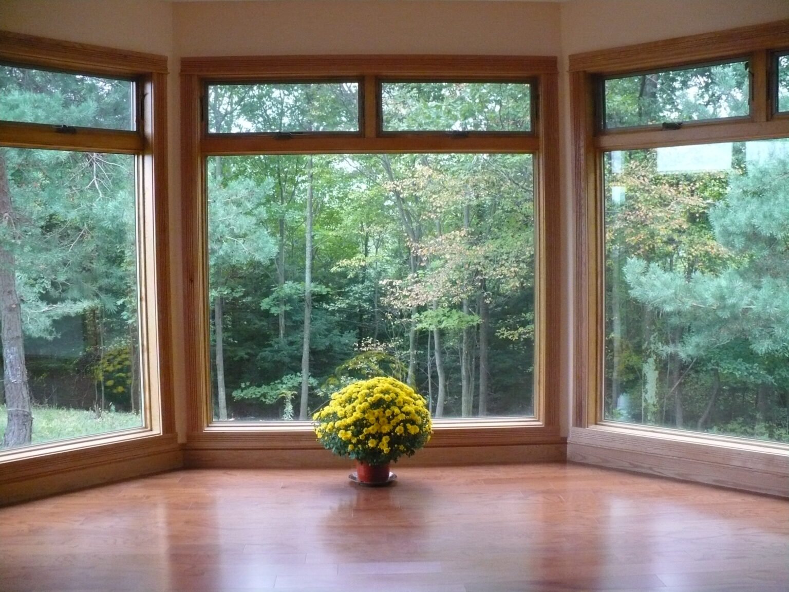 Stillpoint-inside-view-1536x1152.jpg