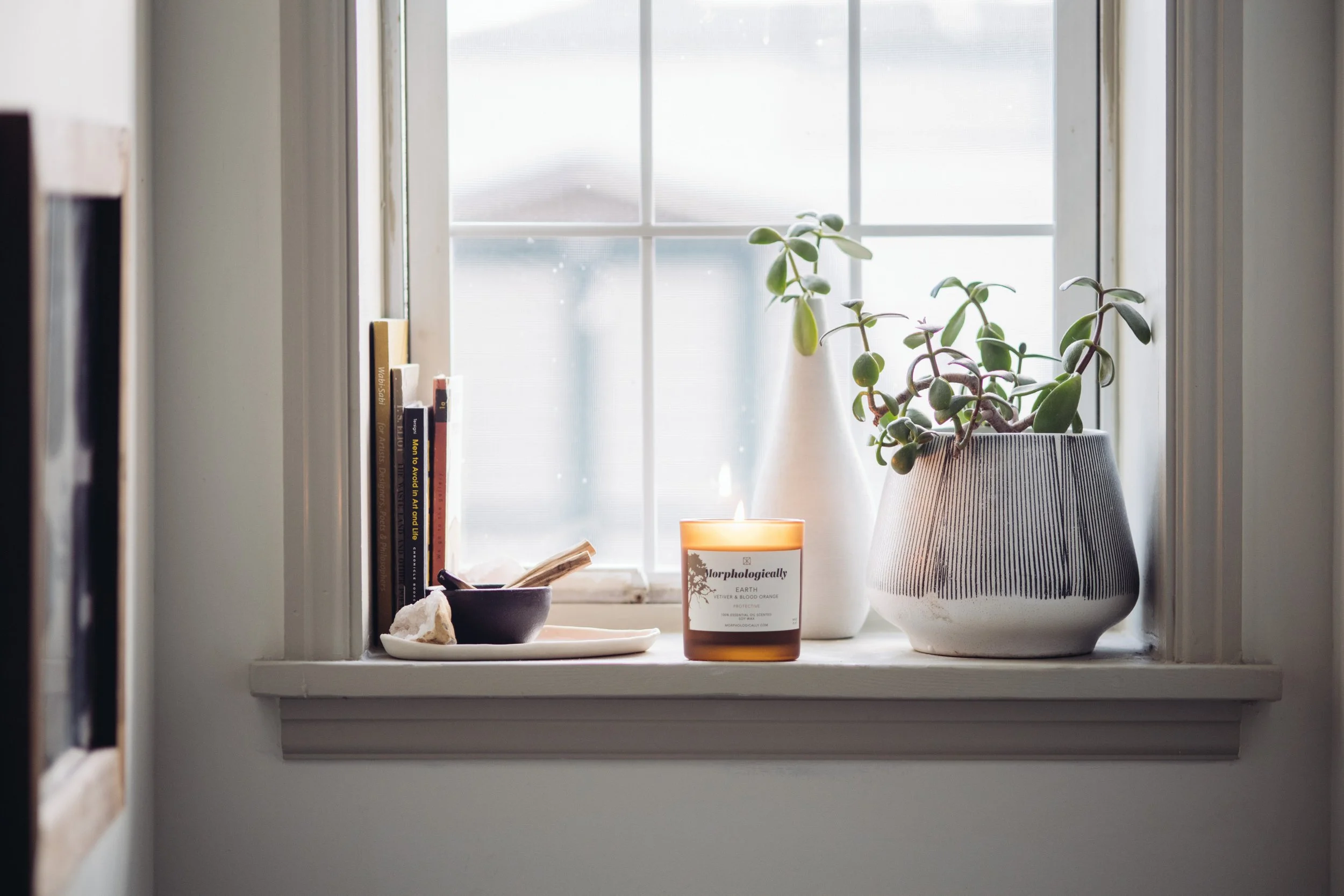 MORPH25XTRA R-1006.jpg