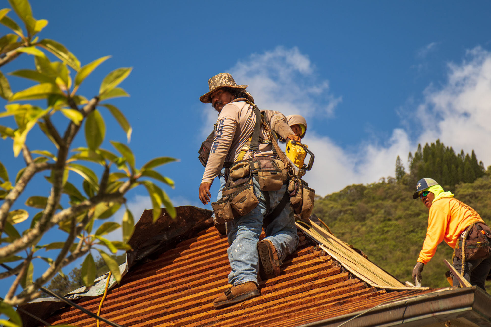 Roof_replacement_expedition_20201108_©_Howard_Wolff-1.jpg