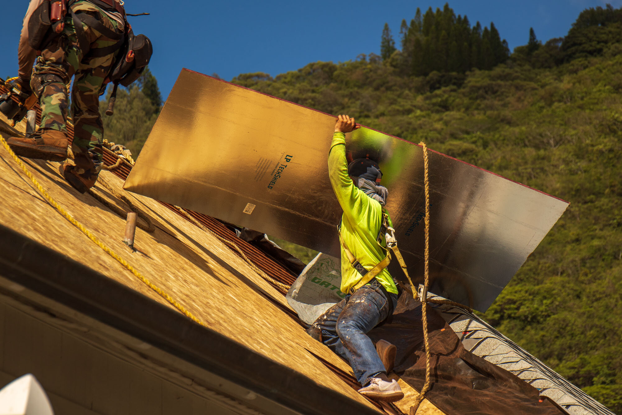 Roof_replacement_expedition_20201108_©_Howard_Wolff-2.jpg