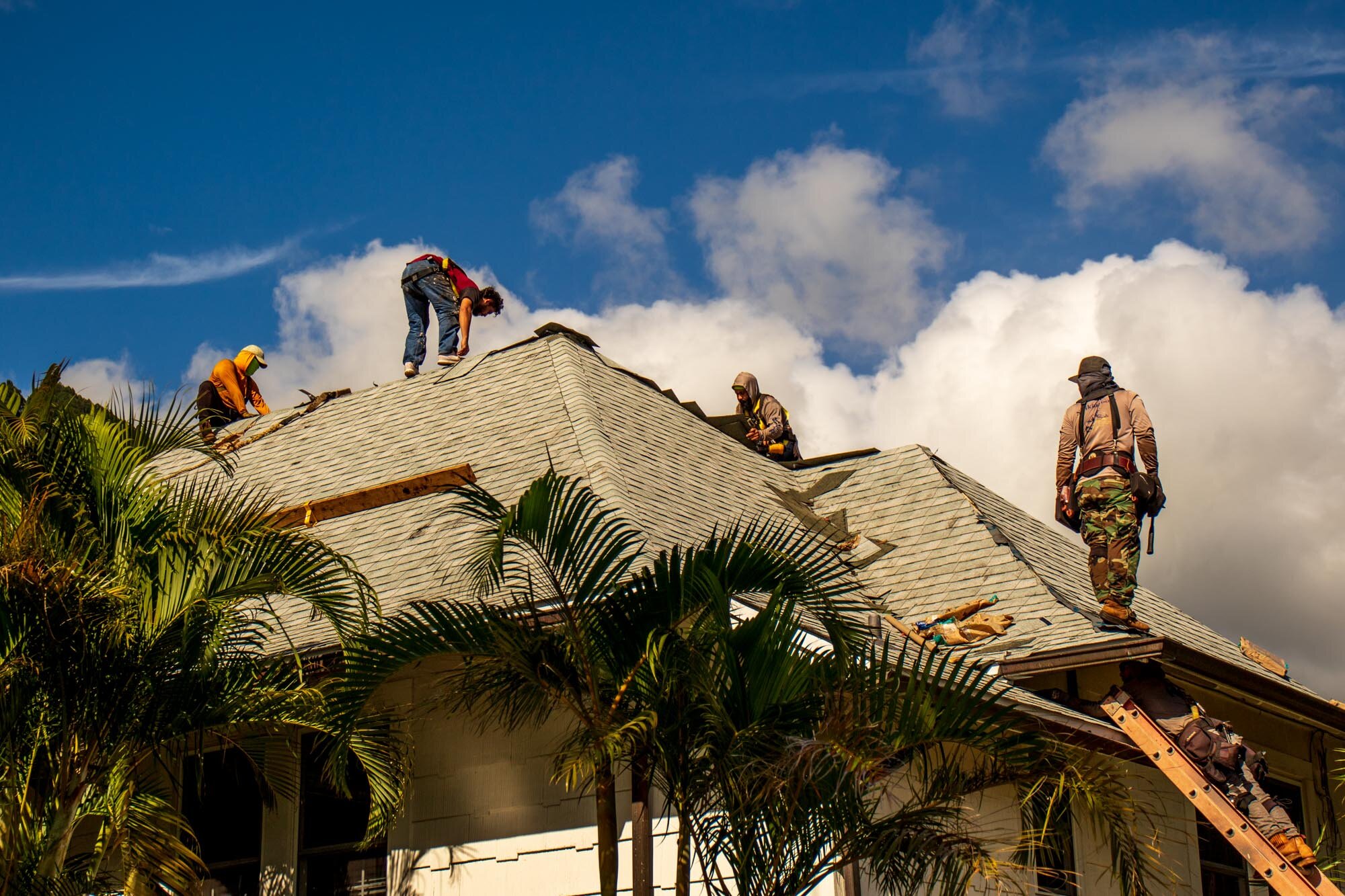 Roof_replacement_expedition_20201108_©_Howard_Wolff-17.jpg
