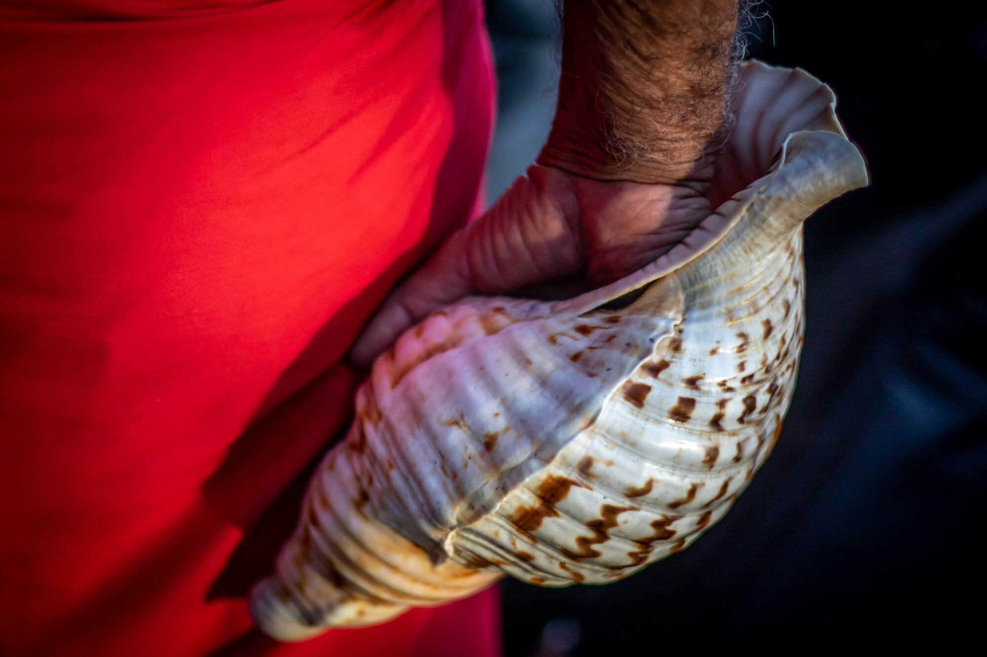 Waikiki_hula_20190425_©HowardWolff-2.jpg