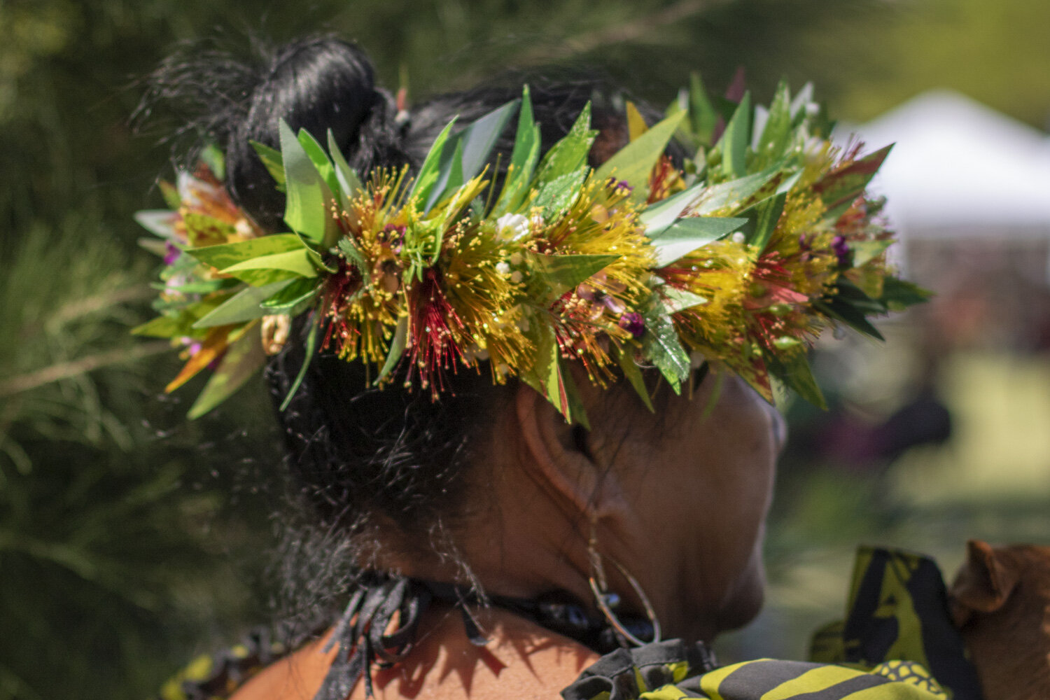 Hawaiian lei 20190501_©HowardWolff011.jpg