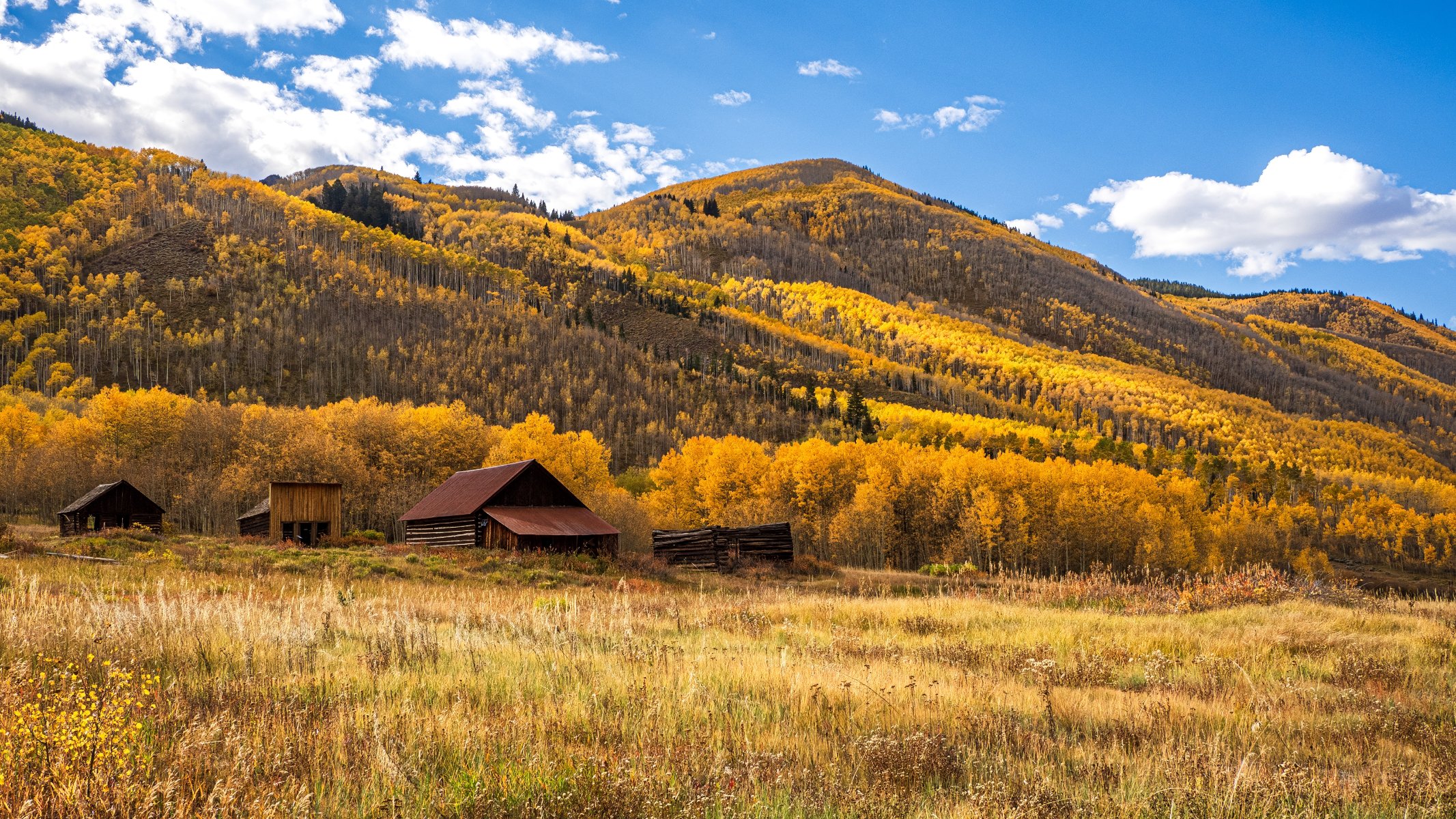 Aspen 11.jpg