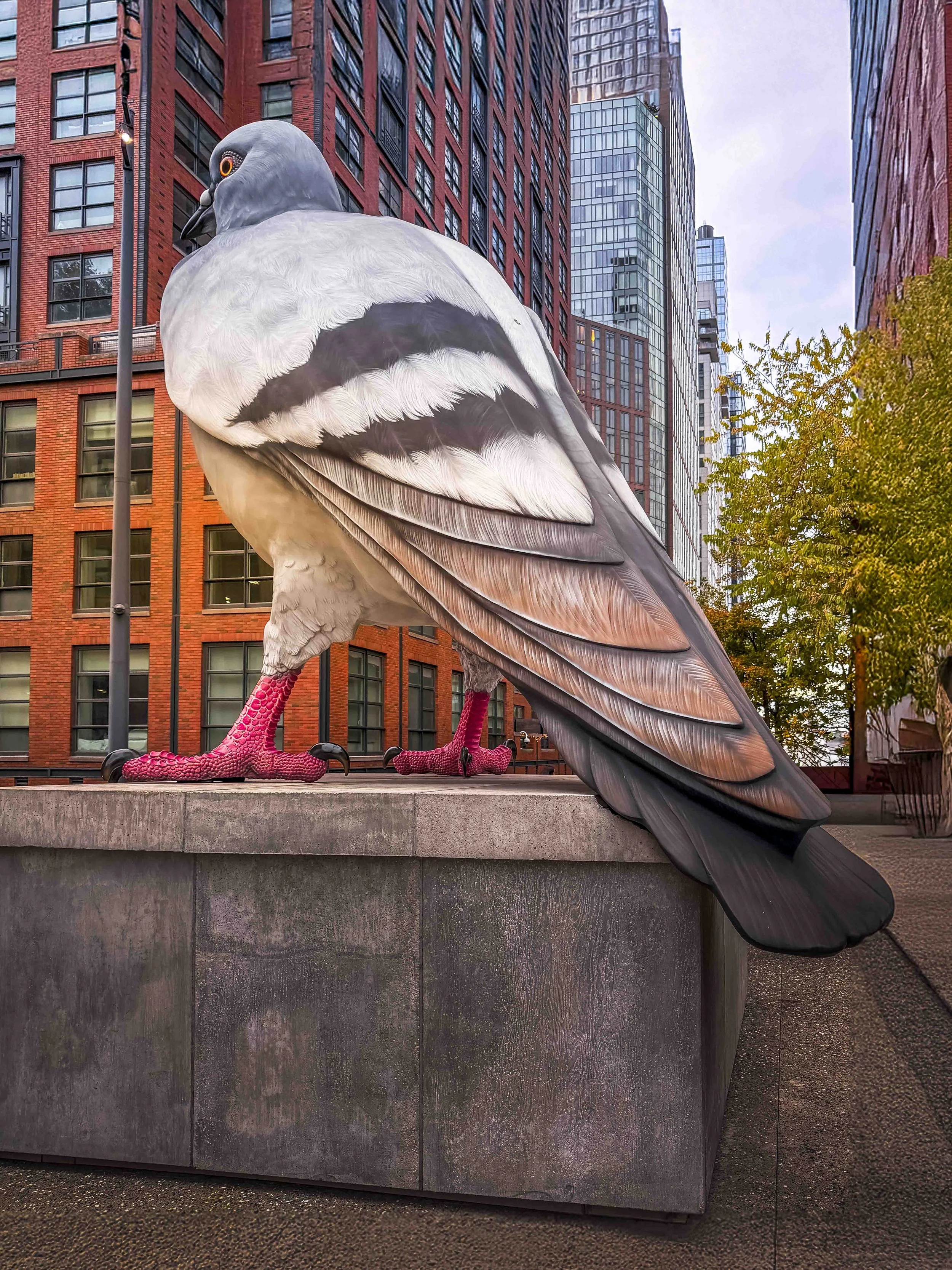 20251029-IMG_0034-Edit.jpg